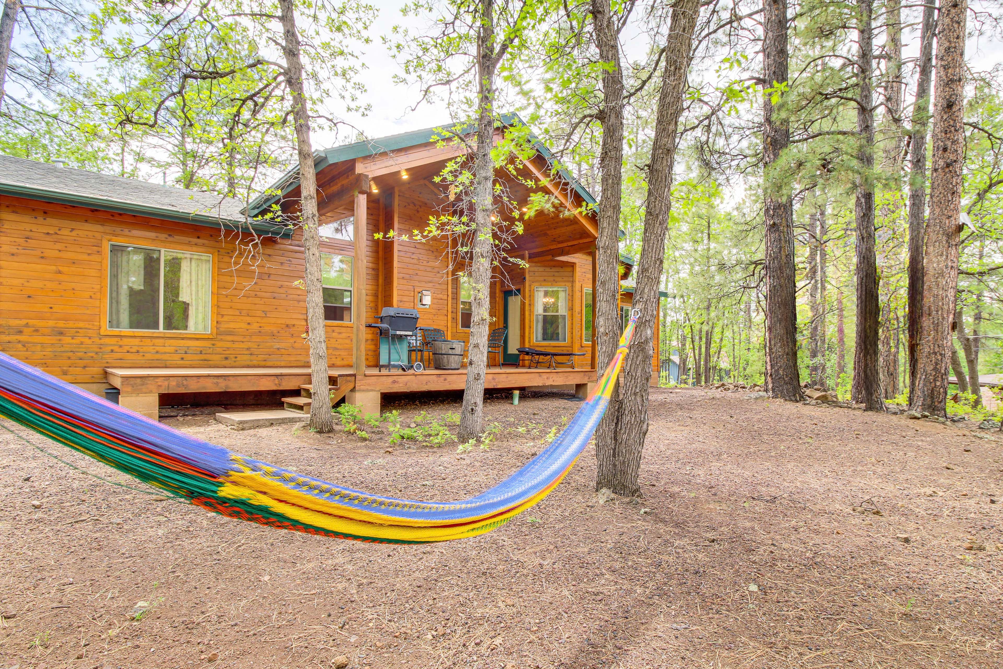 Hammock | Backyard
