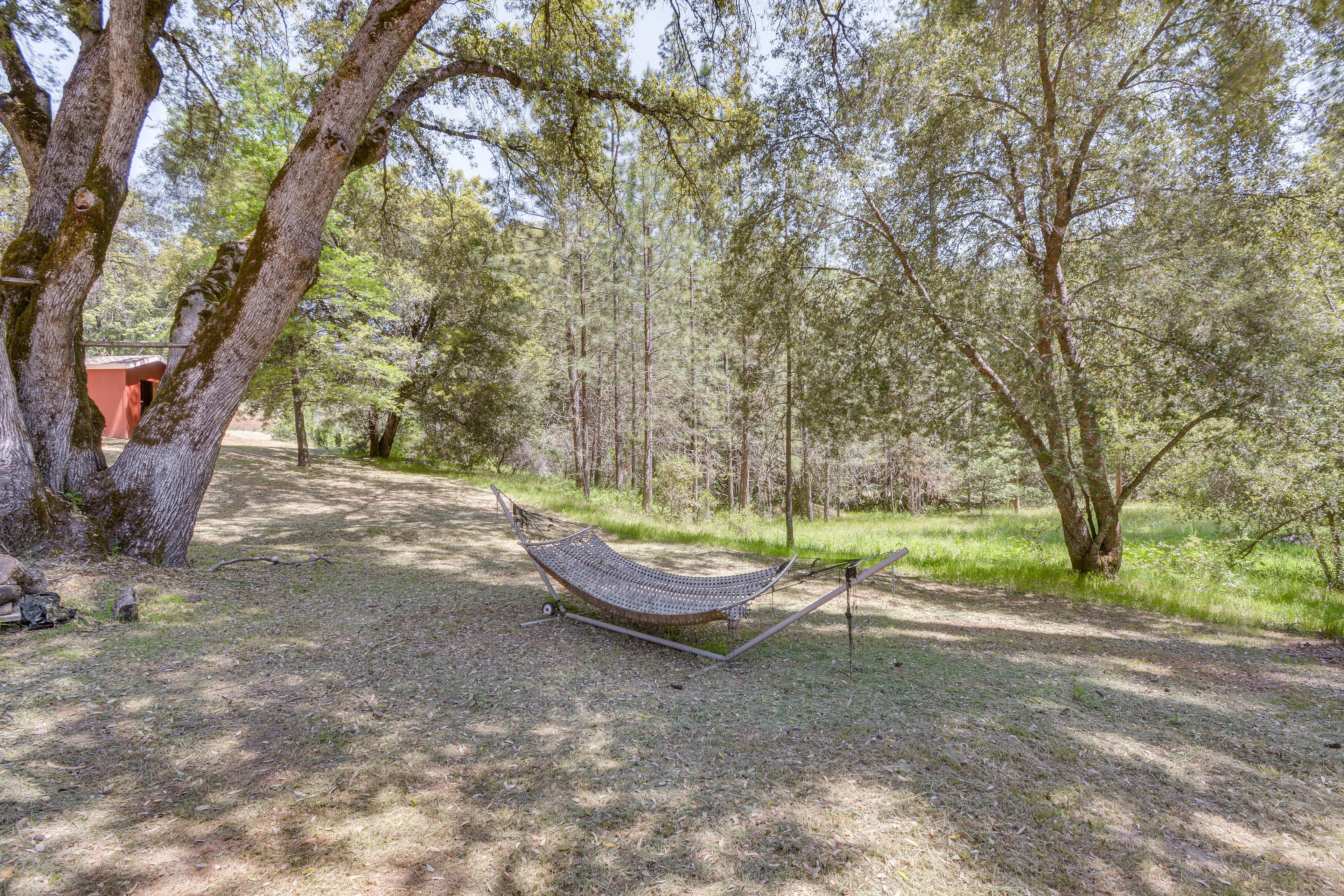 Cabin Exterior | Hammock | Private Yard