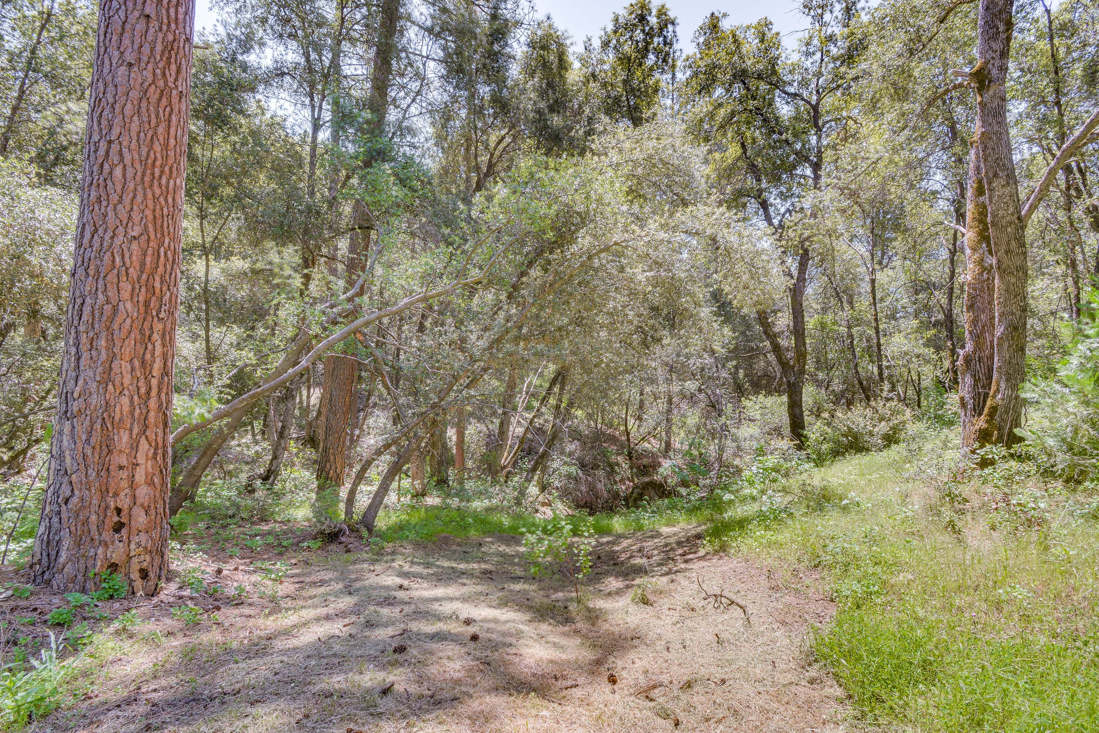 Cabin Exterior | Creek Access