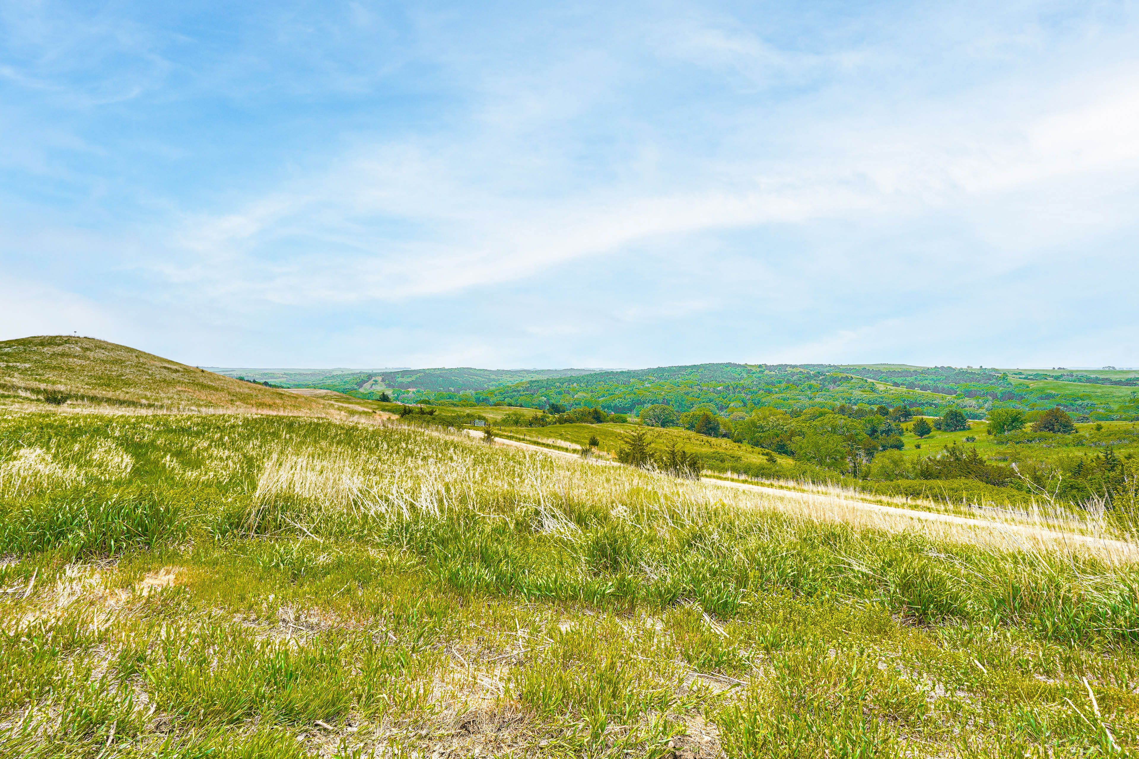 Property Surroundings