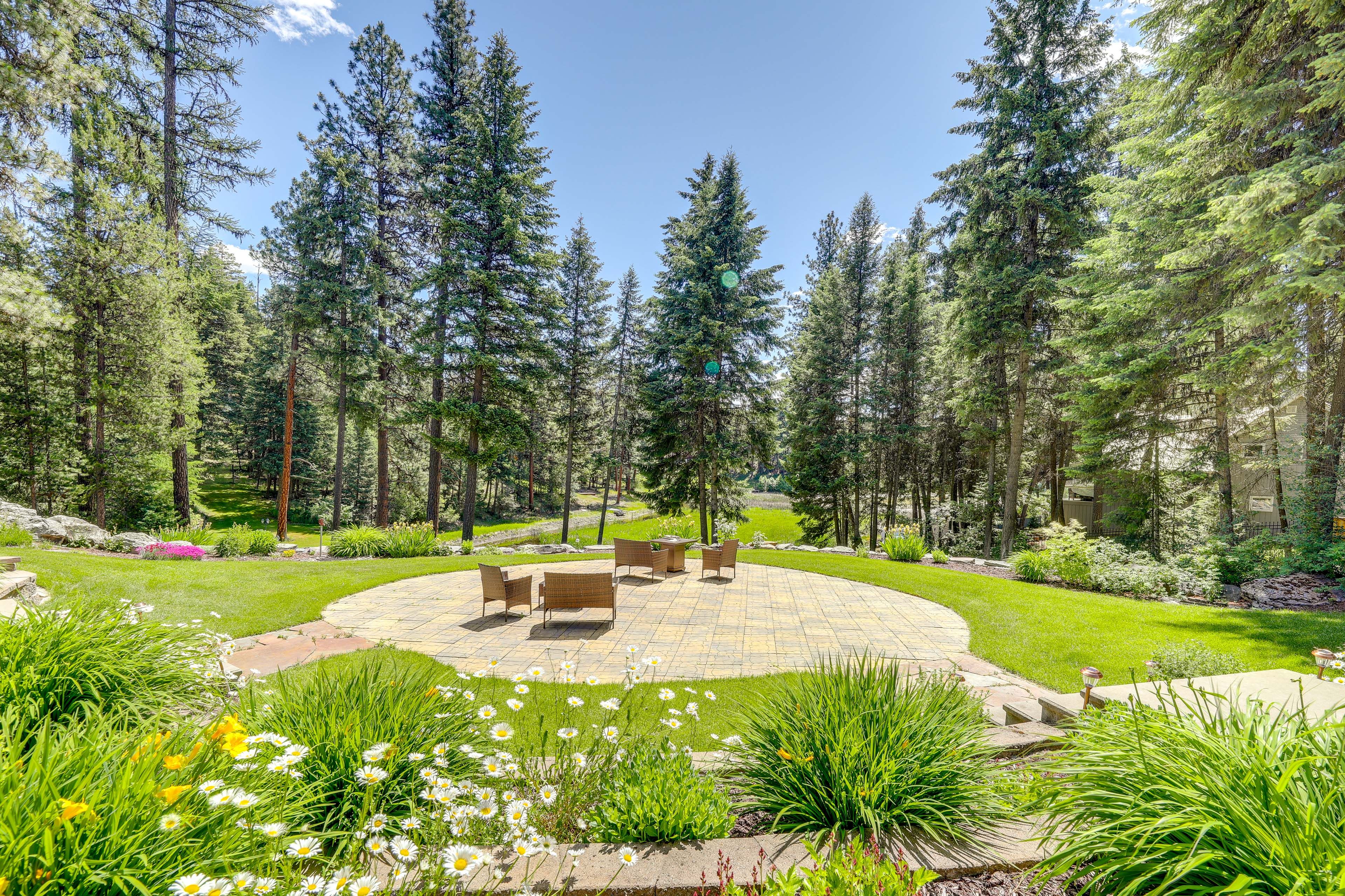 Shared Backyard