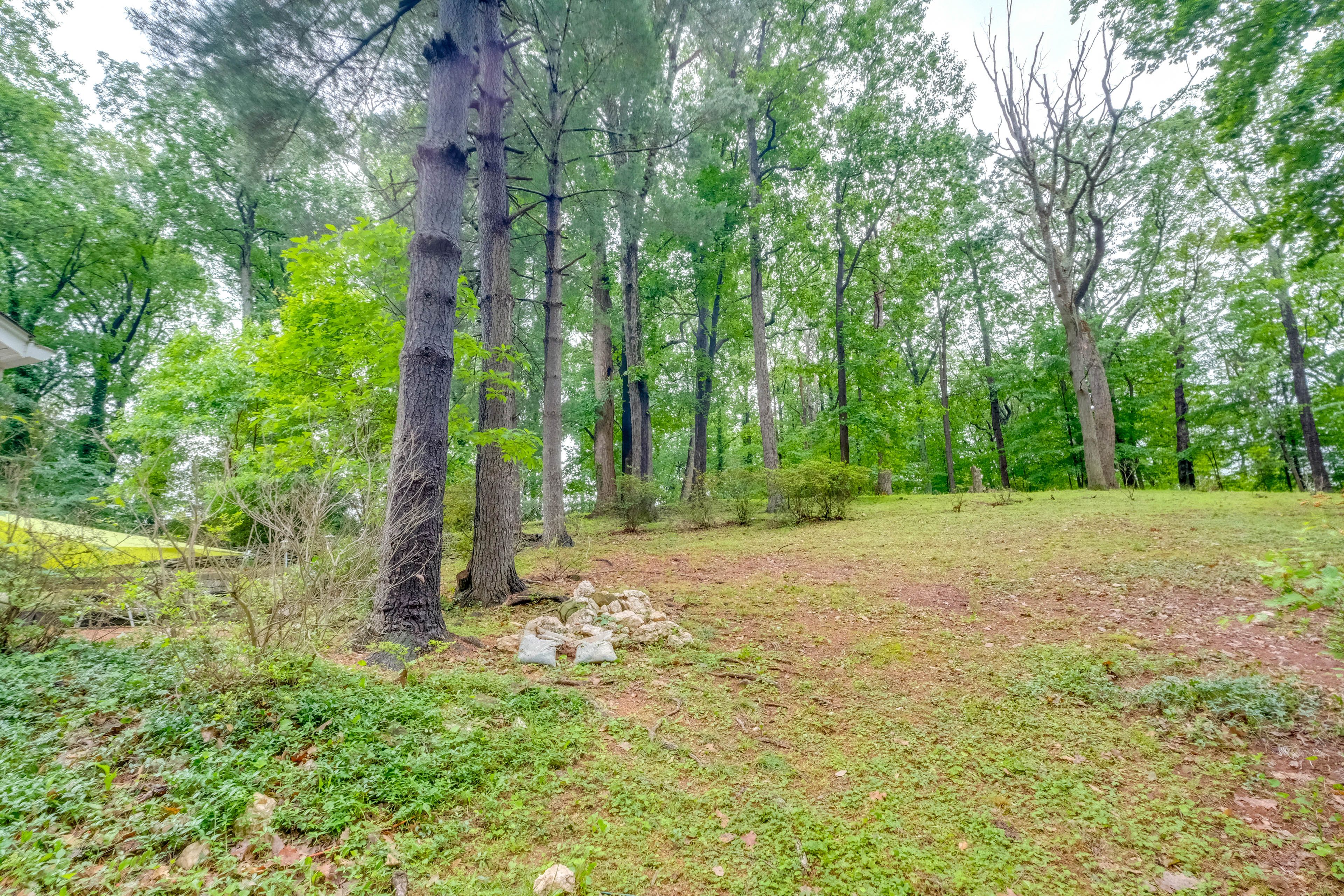 Surrounding Area