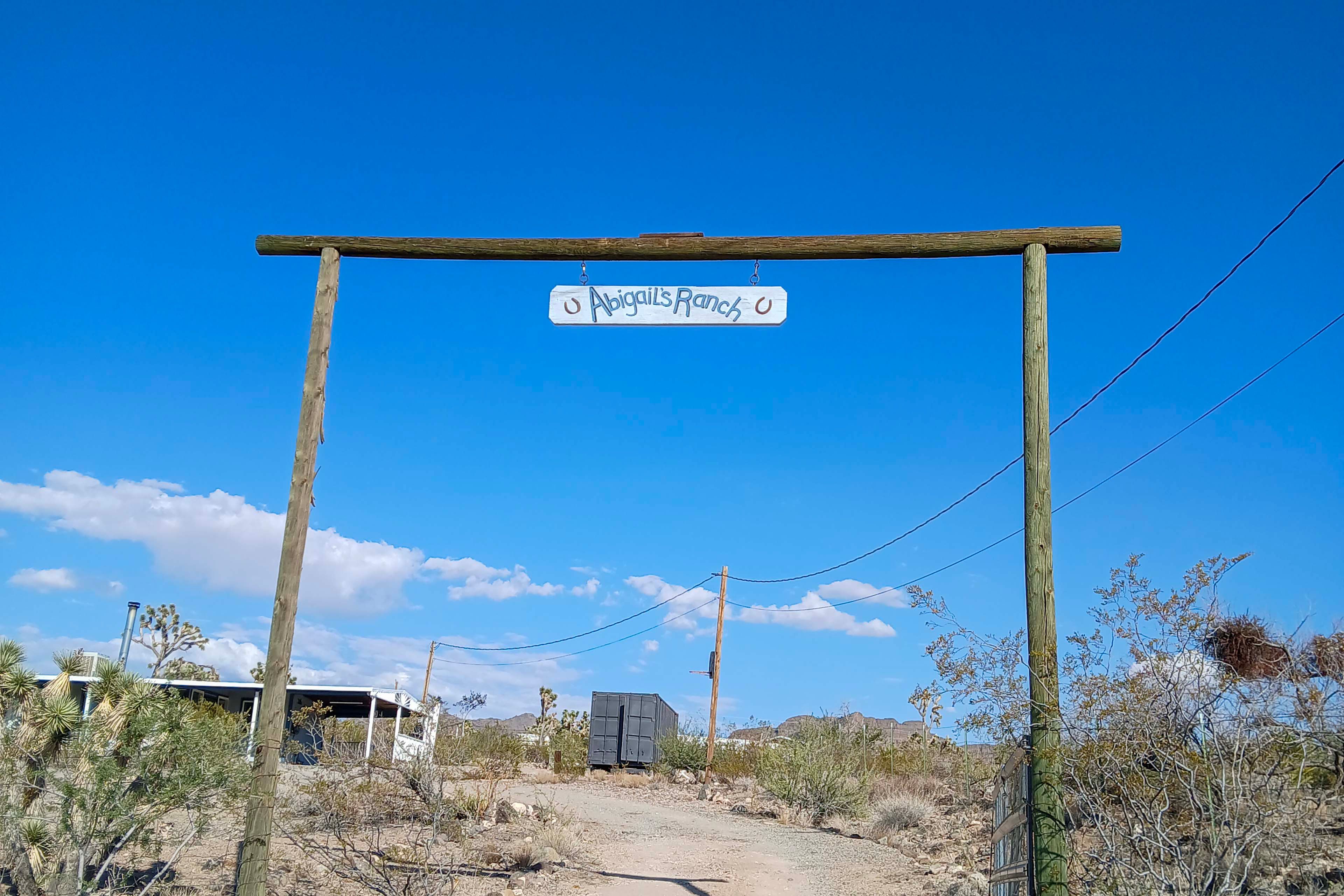 Welcome to Abigail's Ranch