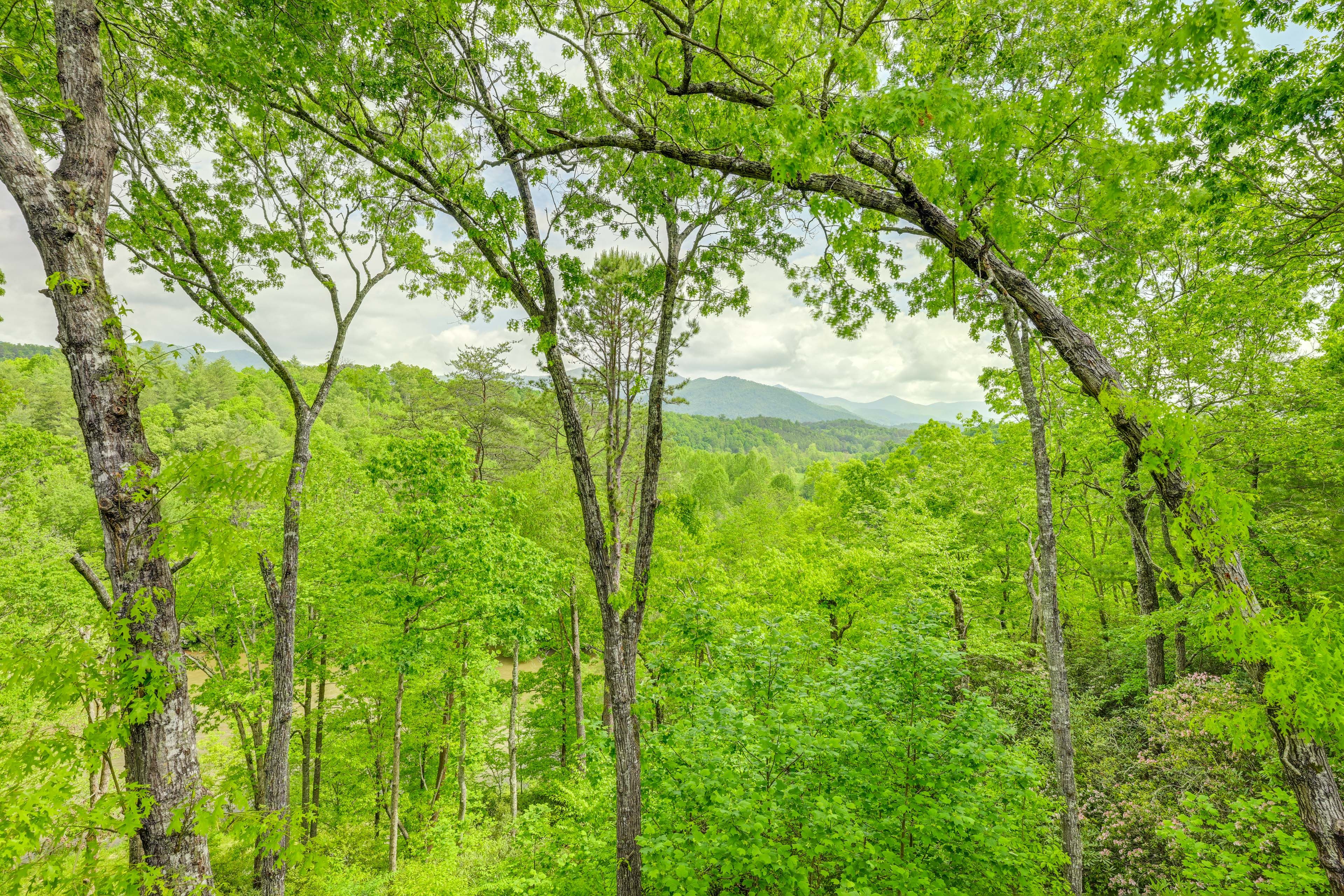 Mountain Views