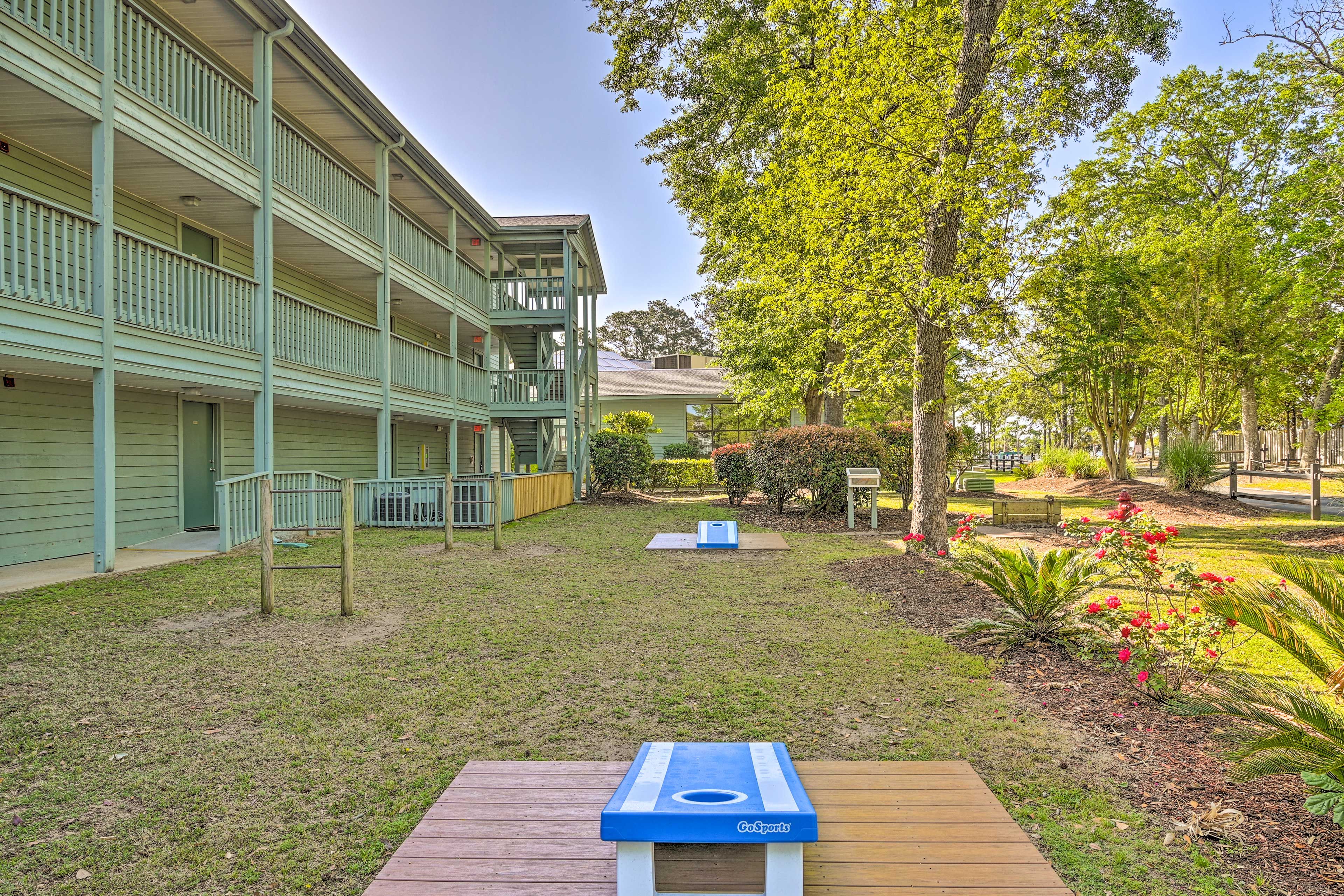 Image 30