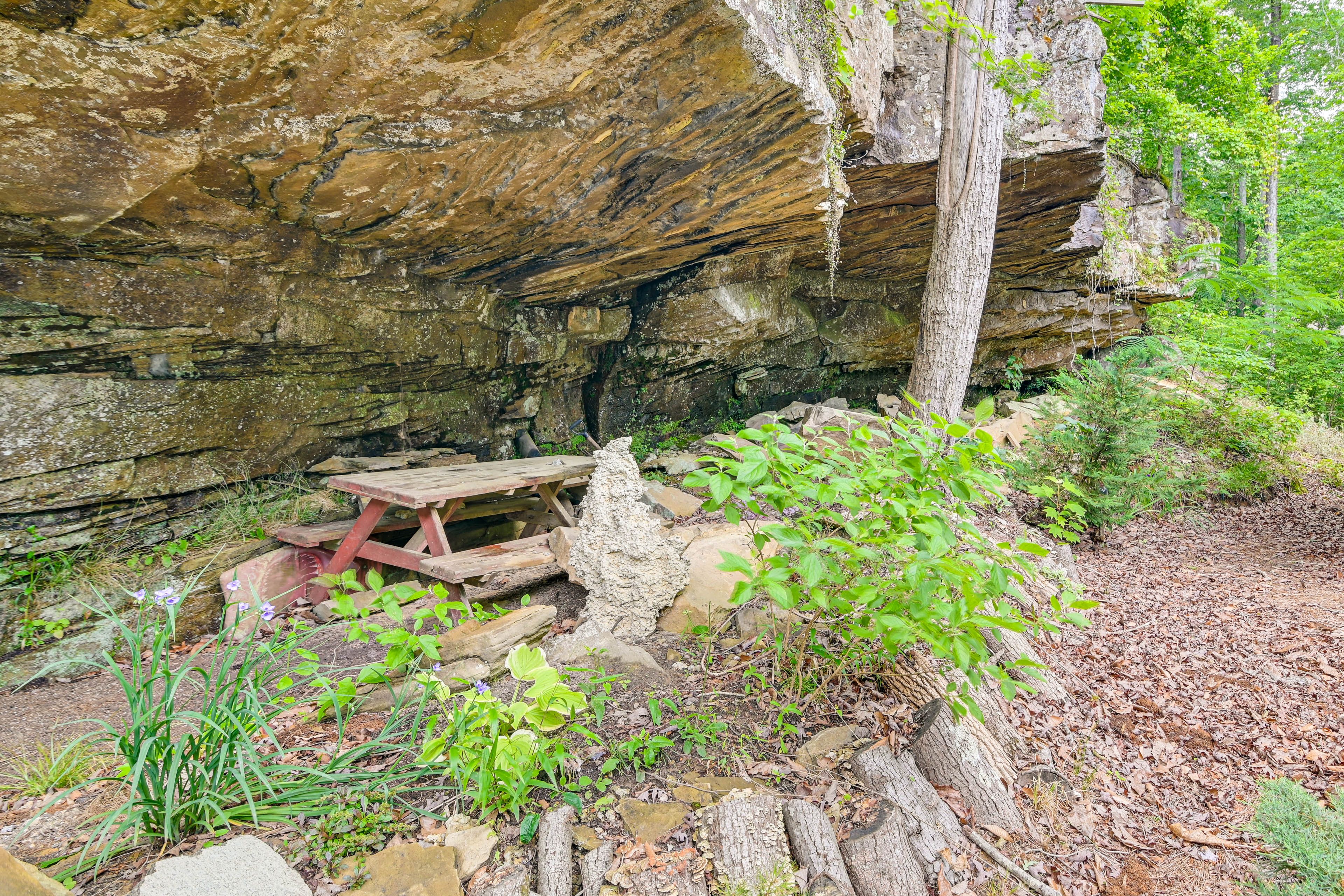 Image 35