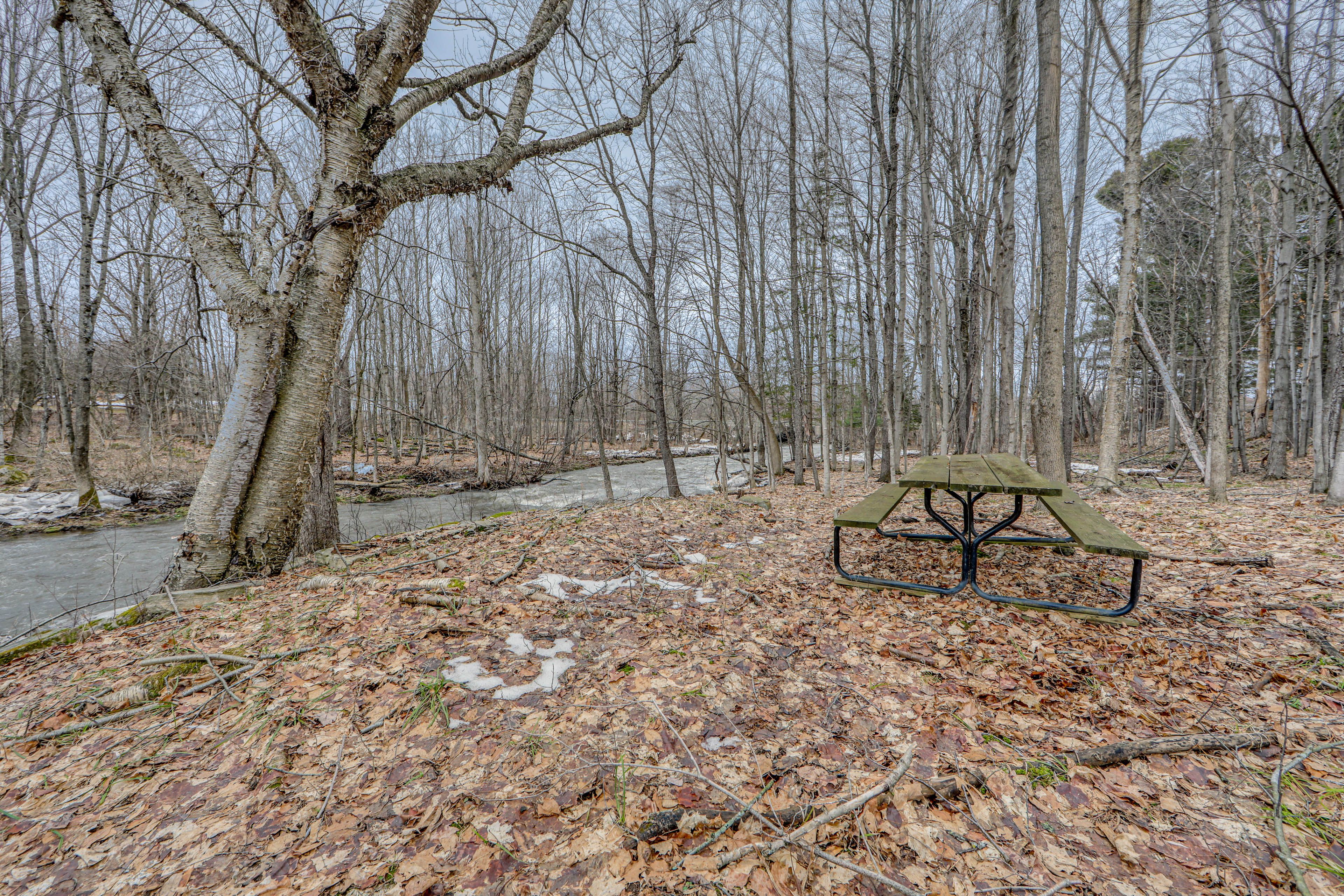 Creek Access | Picnic Area