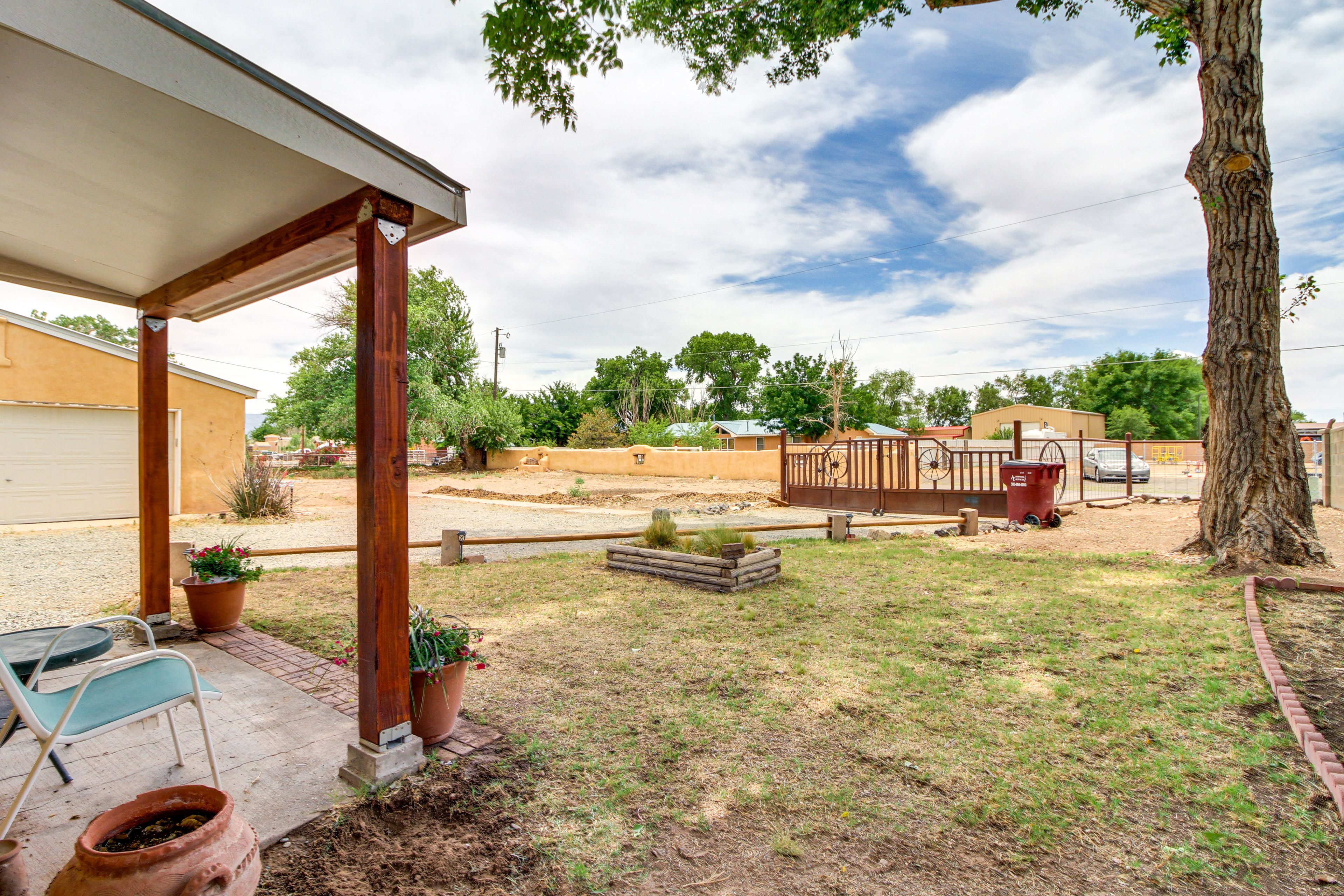 Front Yard