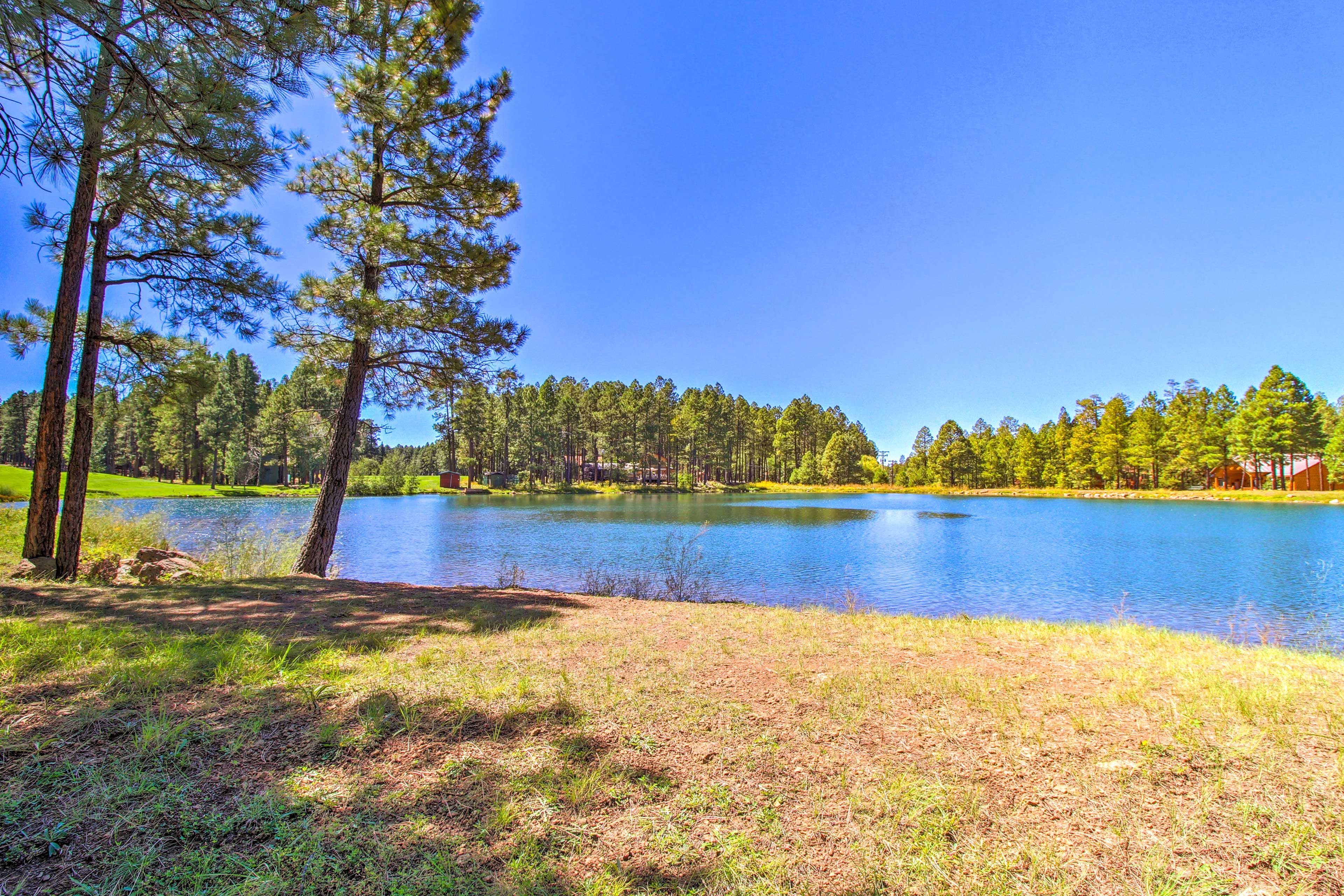 Catch-and-Release Fishing Pond (Walking Distance)