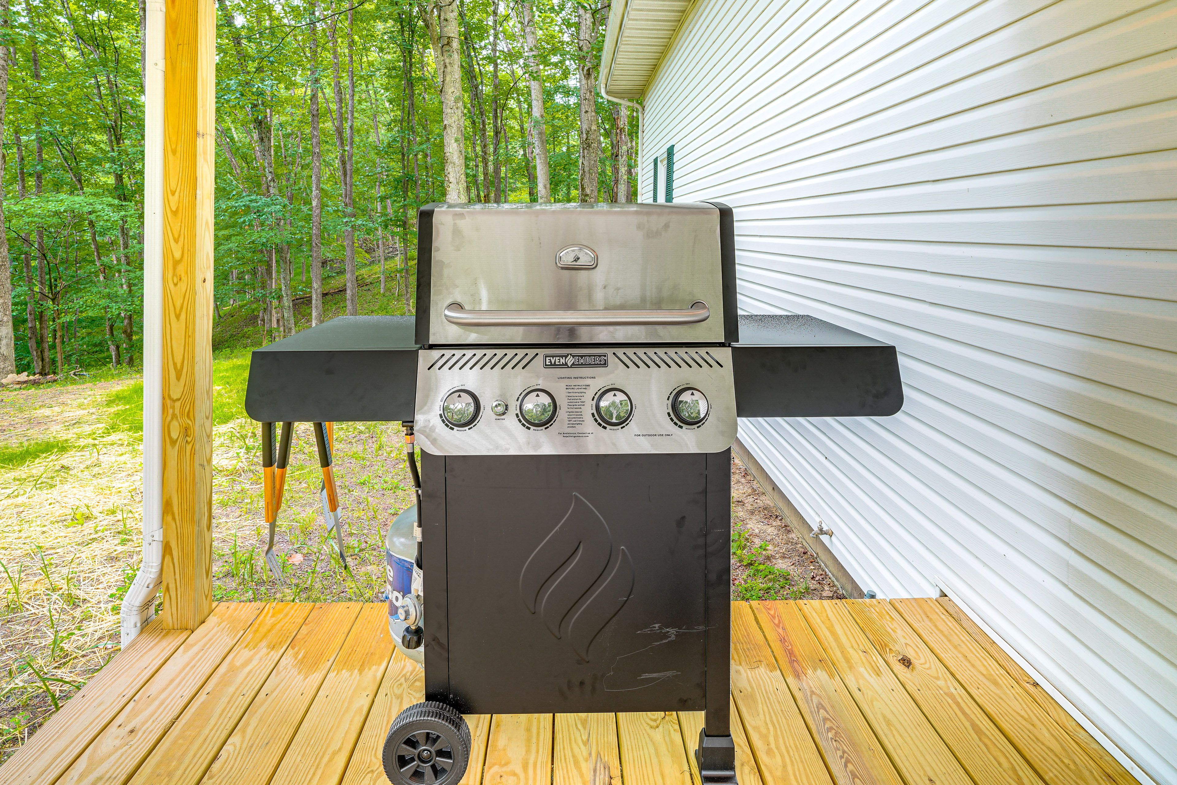 Back Deck | Gas Grill