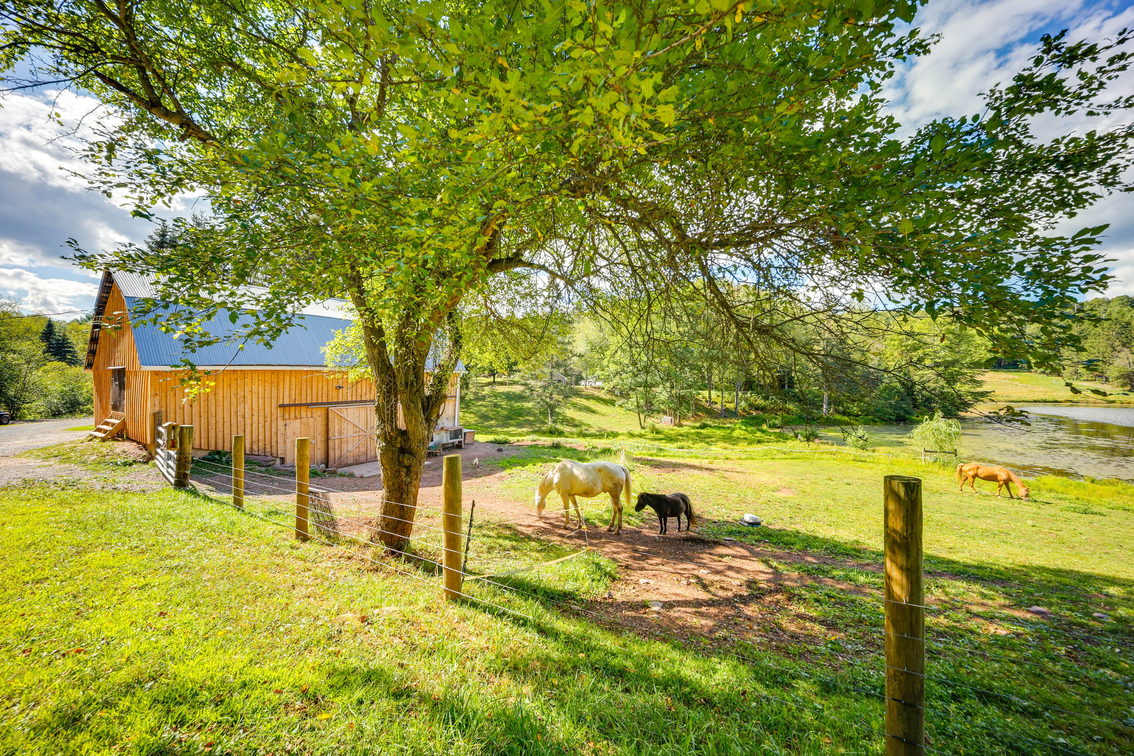 Horses & Petting Zoo Areas On-Site | Shared Pond Access
