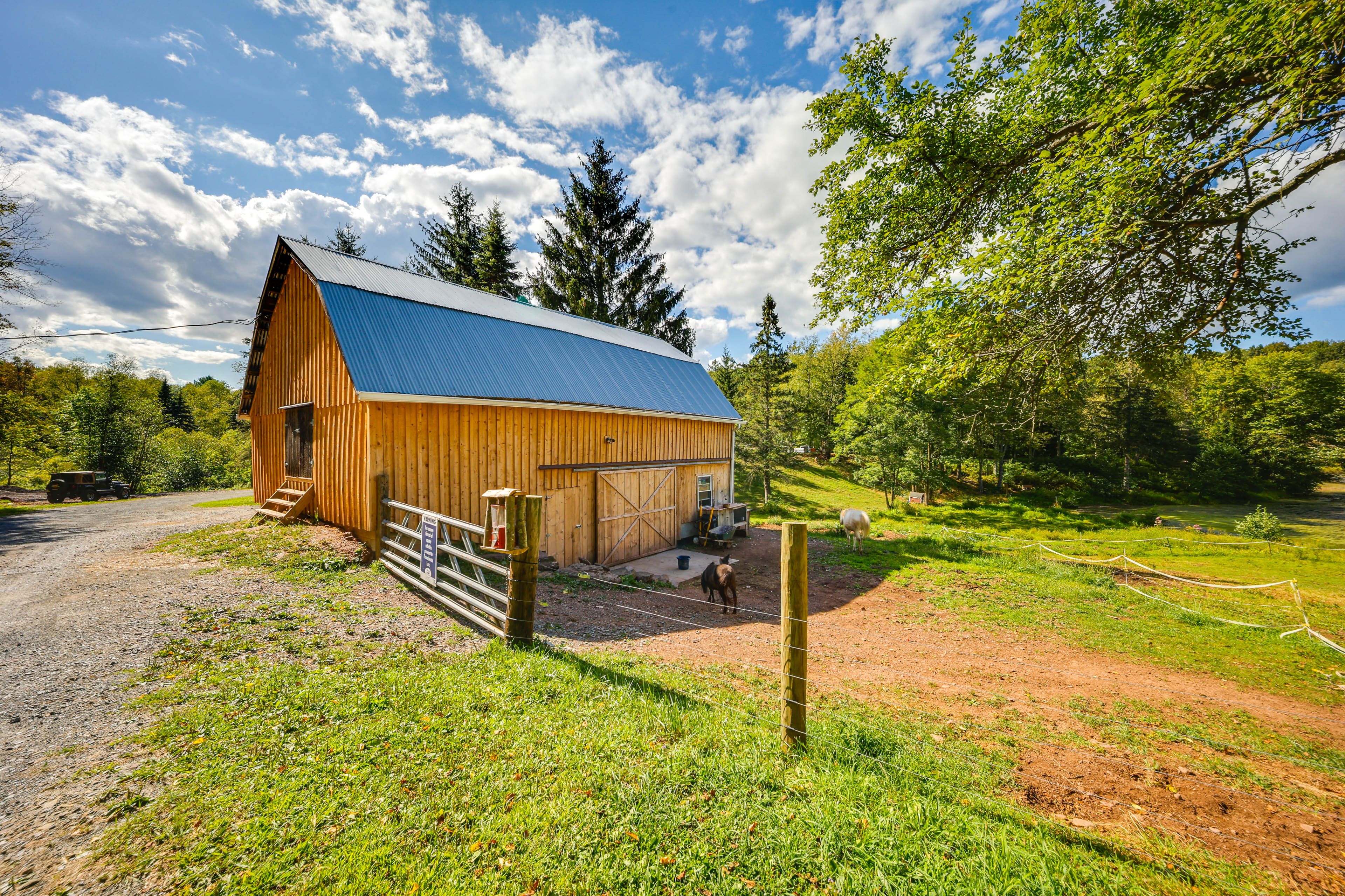 Petting Zoo Areas On-Site
