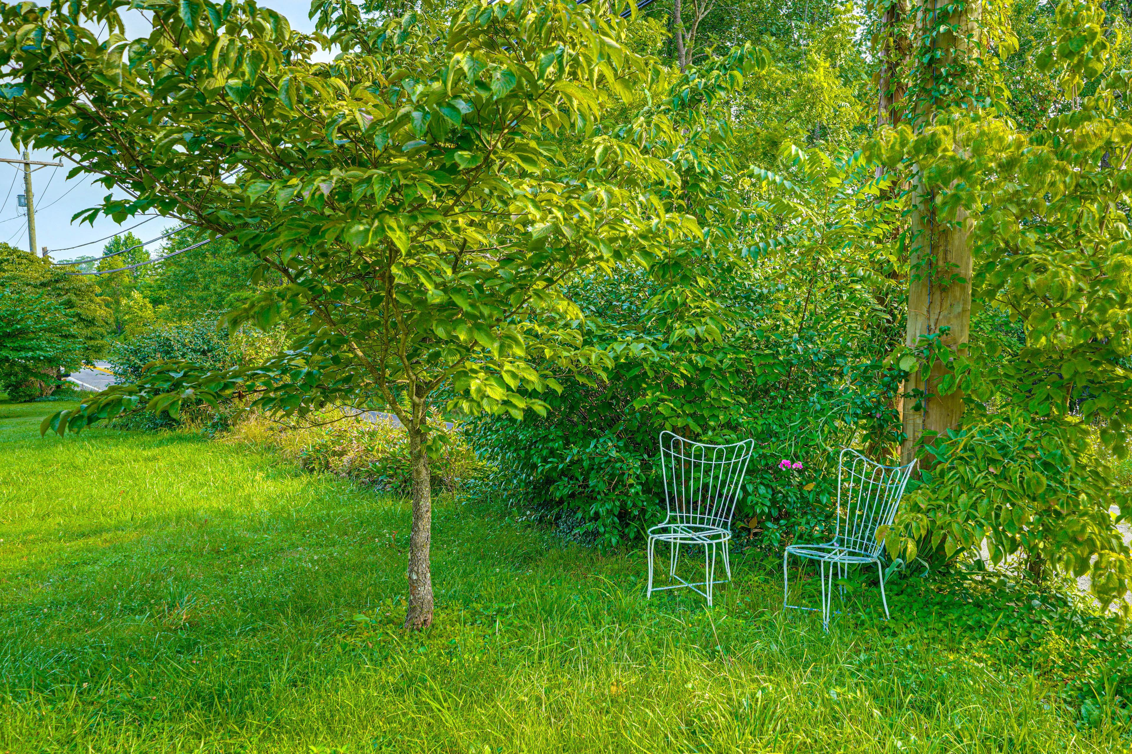 Yard Space