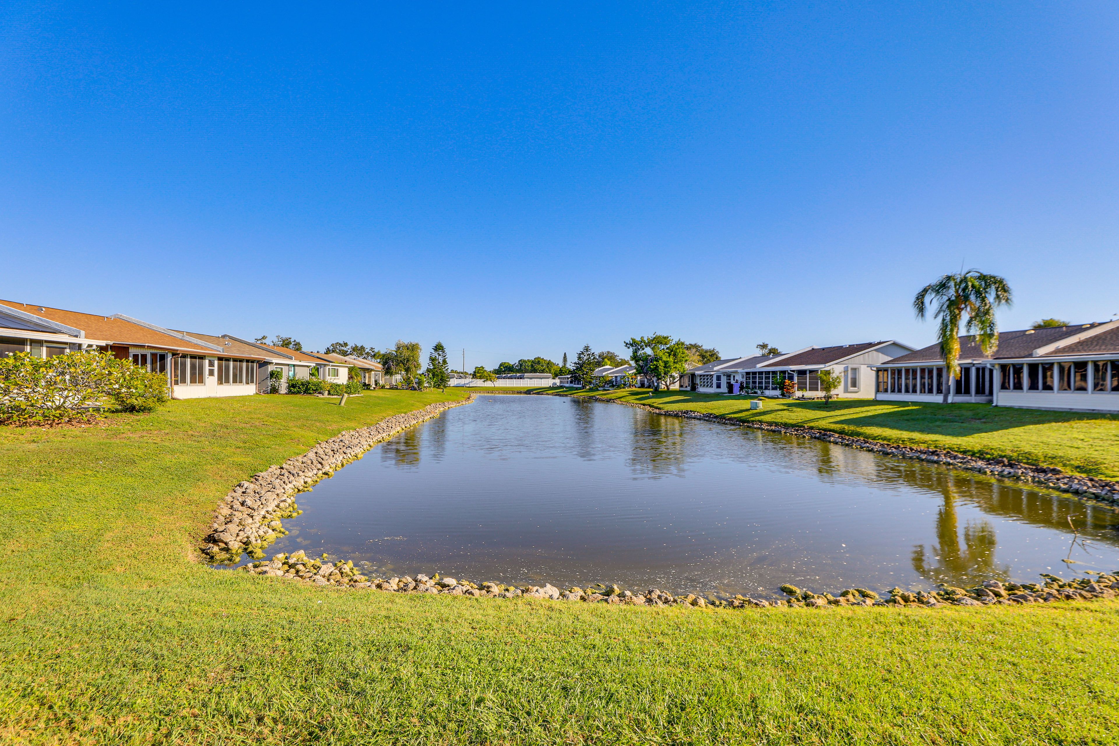 Pond Views