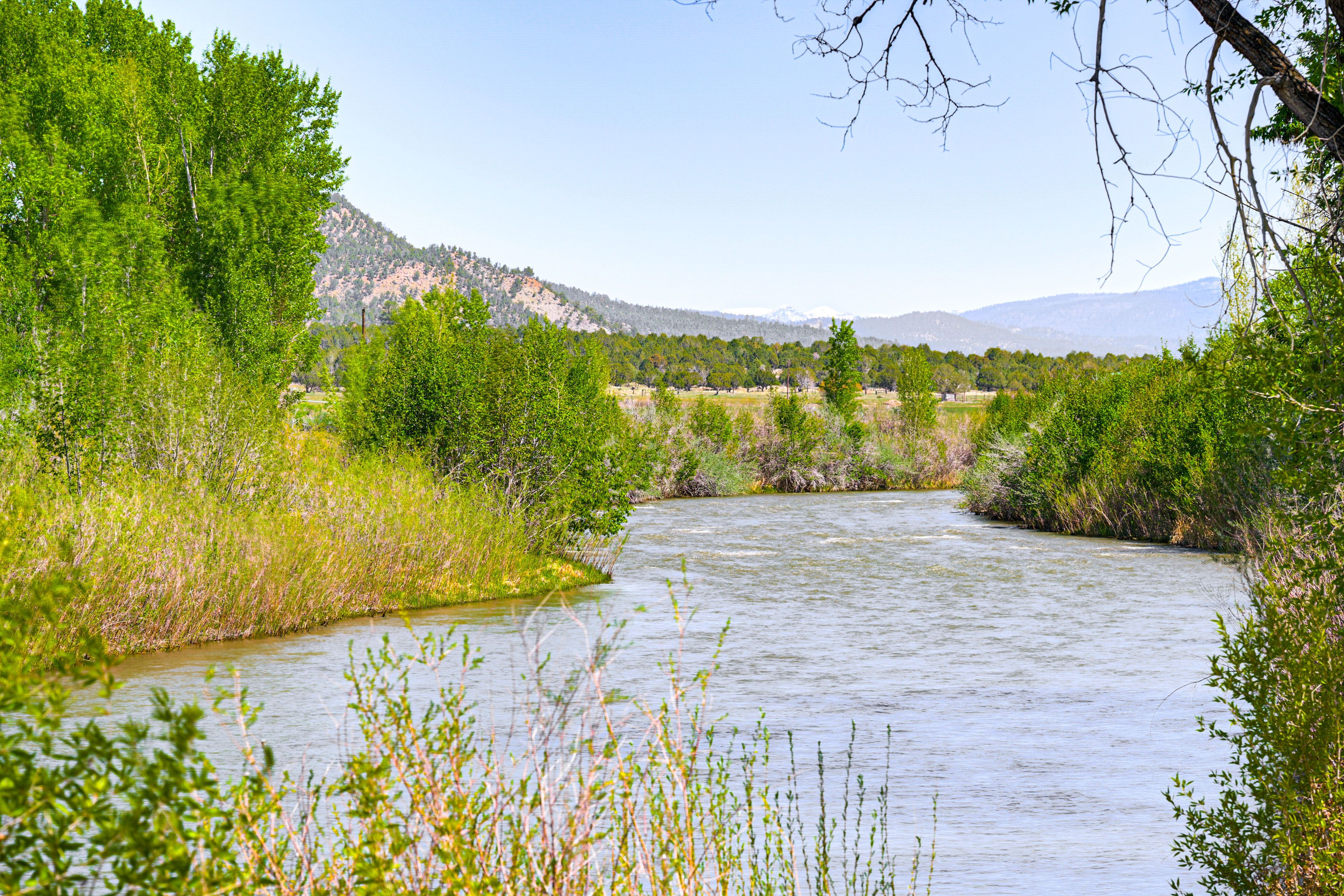 River Access On-Site | Mountain Views | Picnic Area | Fire Pit
