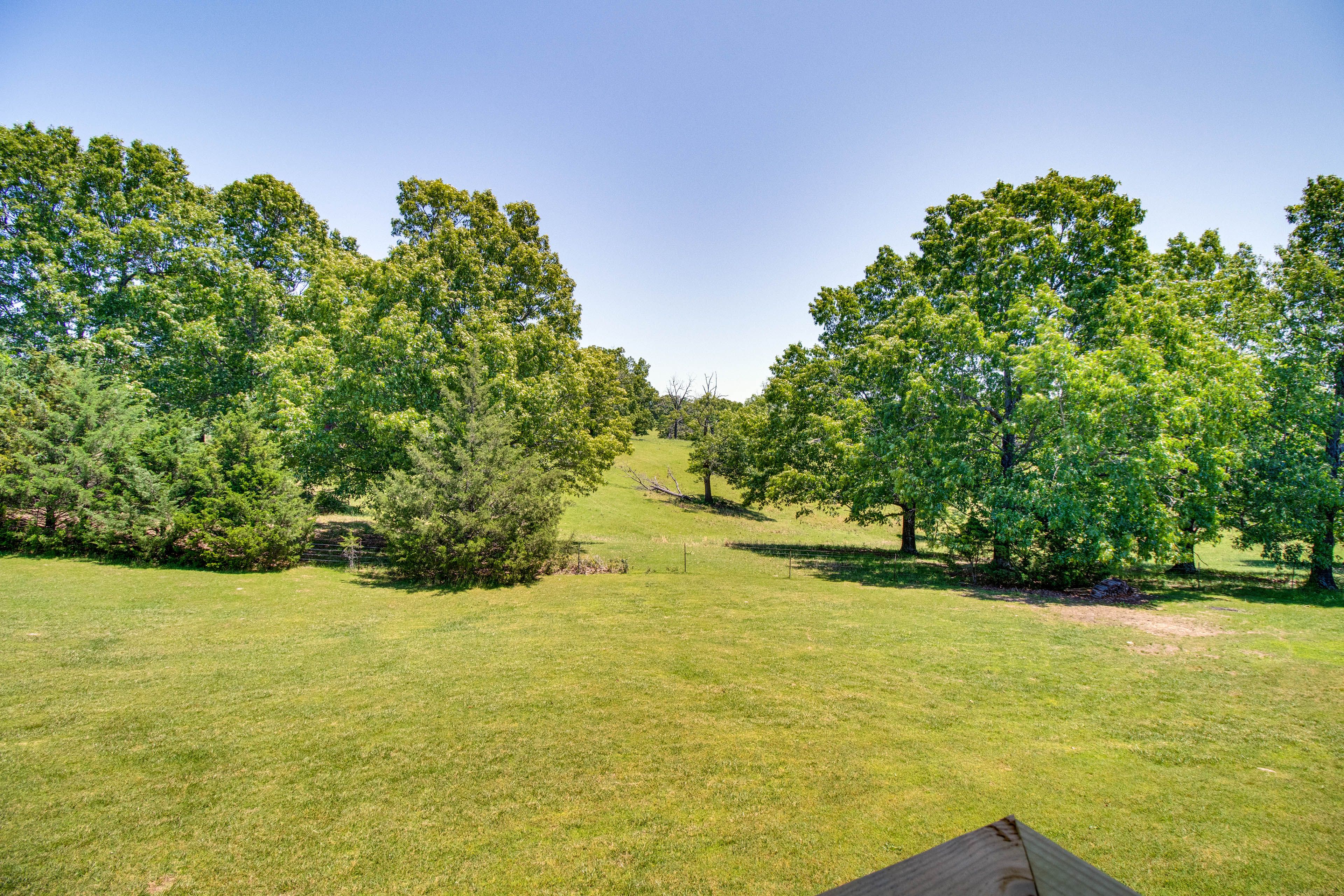 Private Yard (Unfenced)