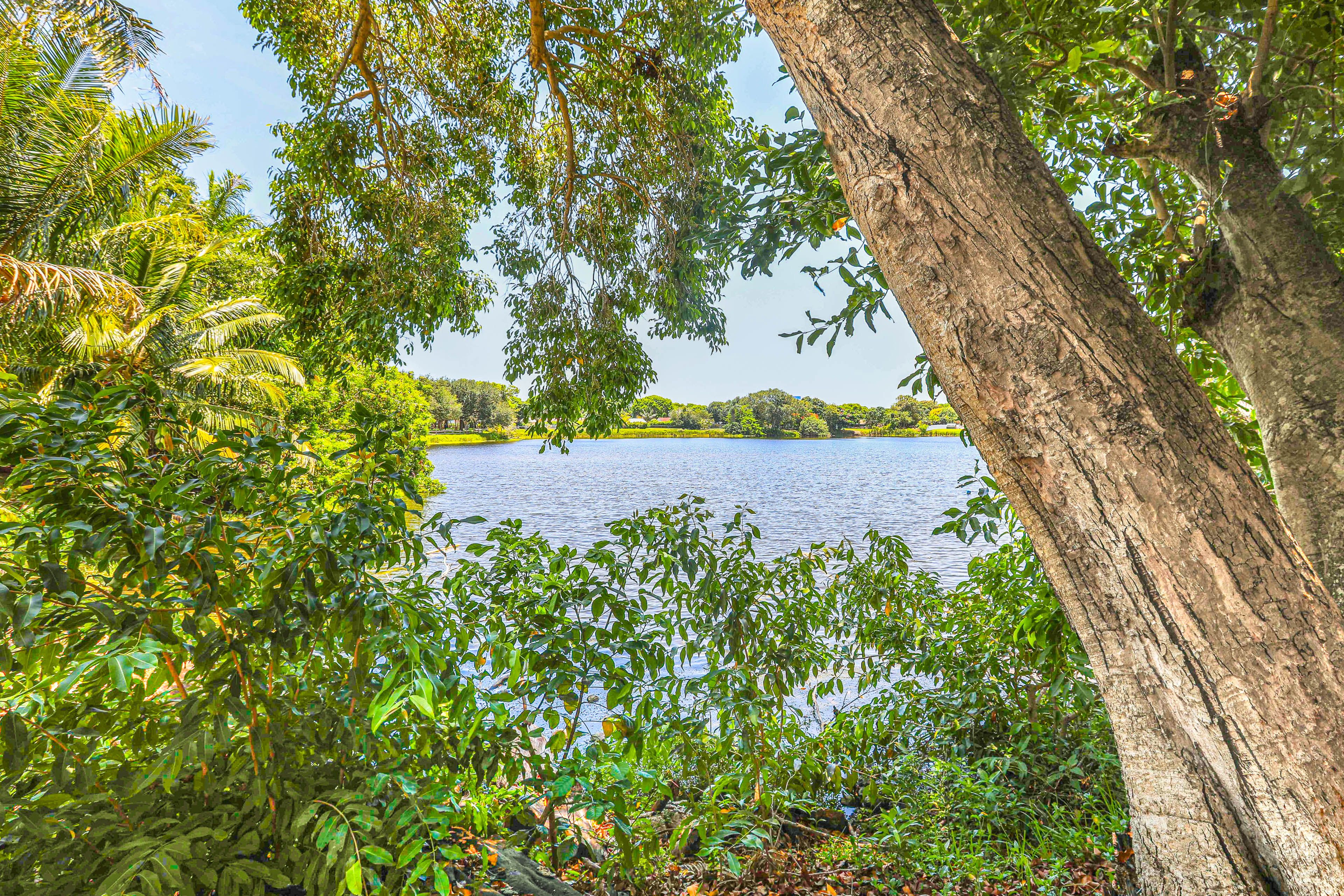 Partial Lake Views