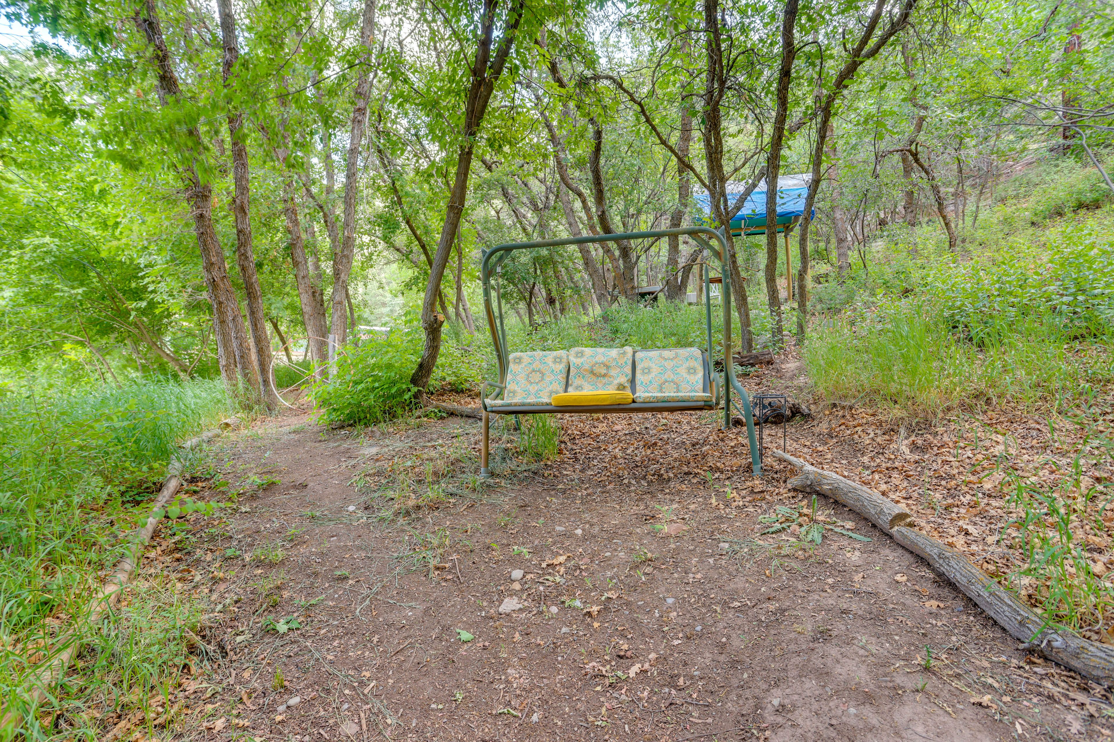 5-Acre Property | Hiking Trail Access