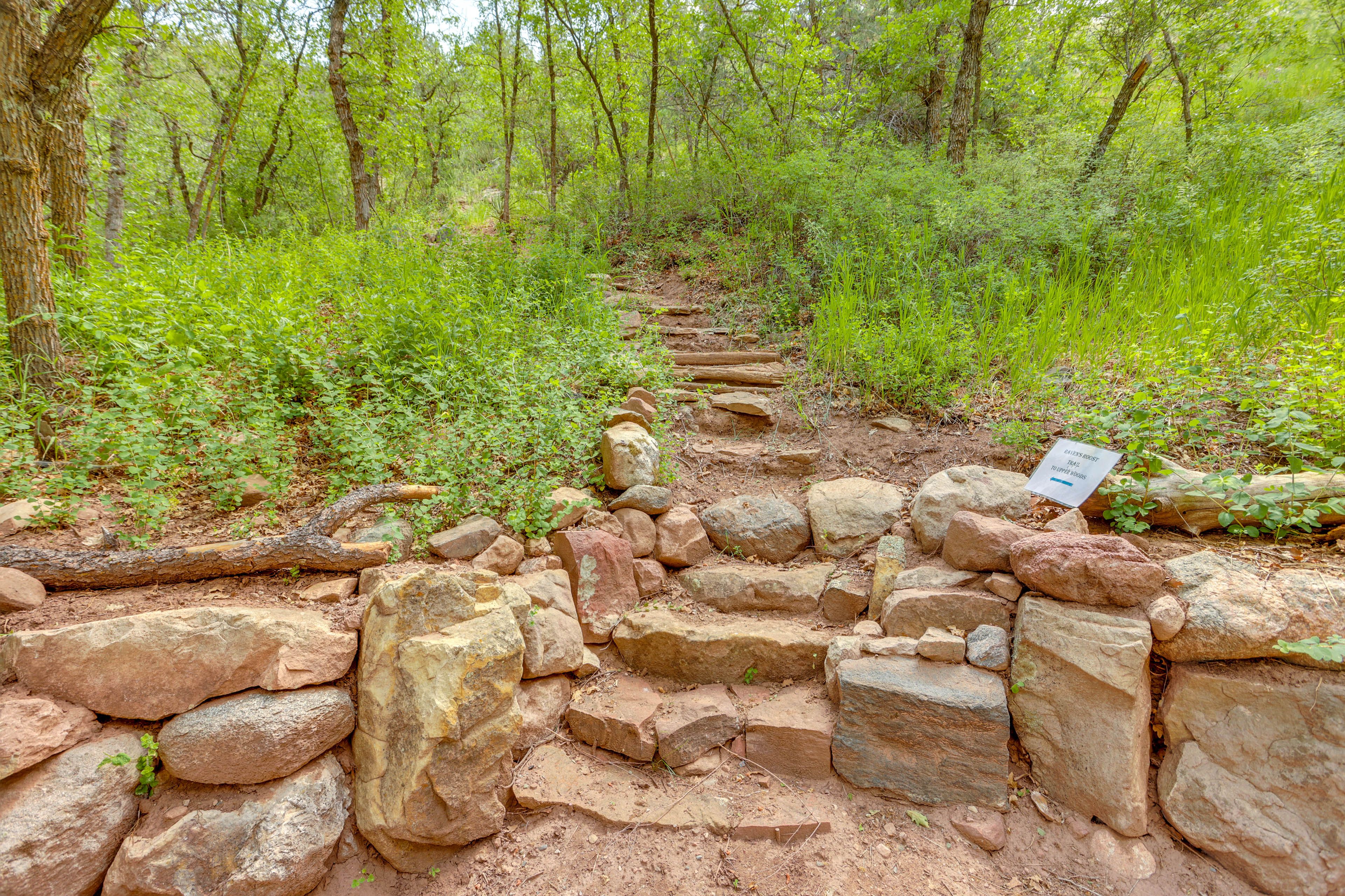 Image 24