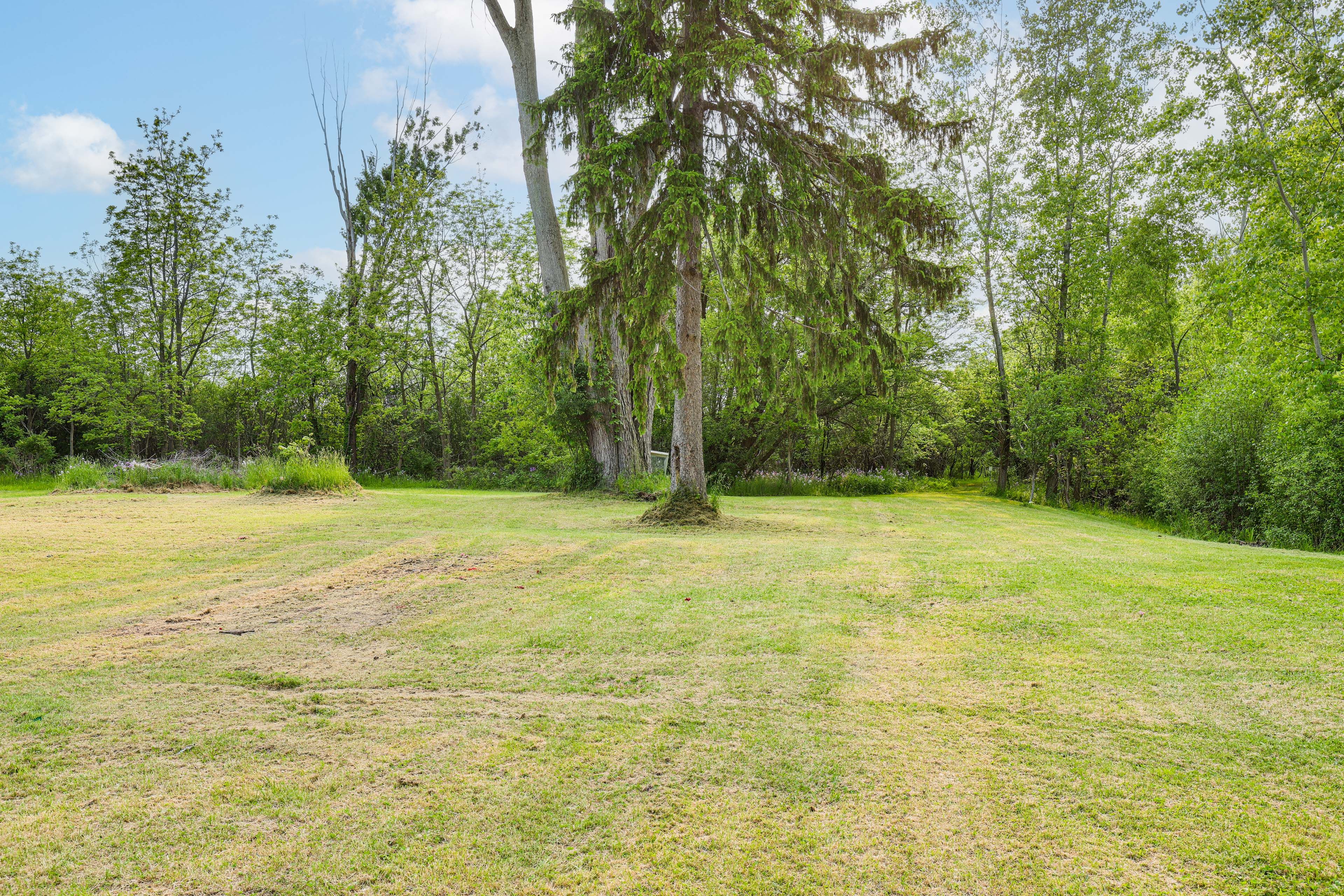 Shared Amenities | 85 Acres