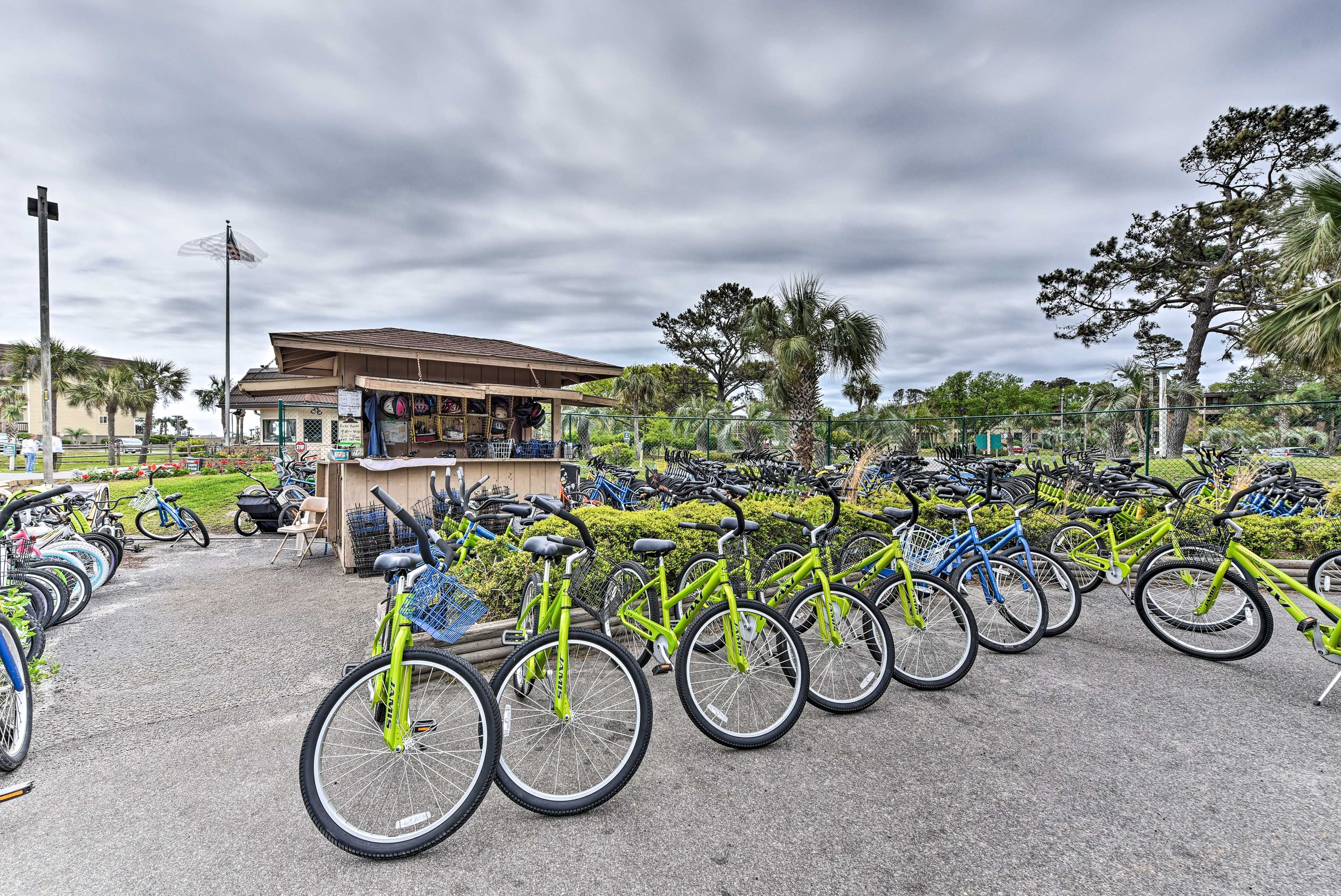 Bike Rentals