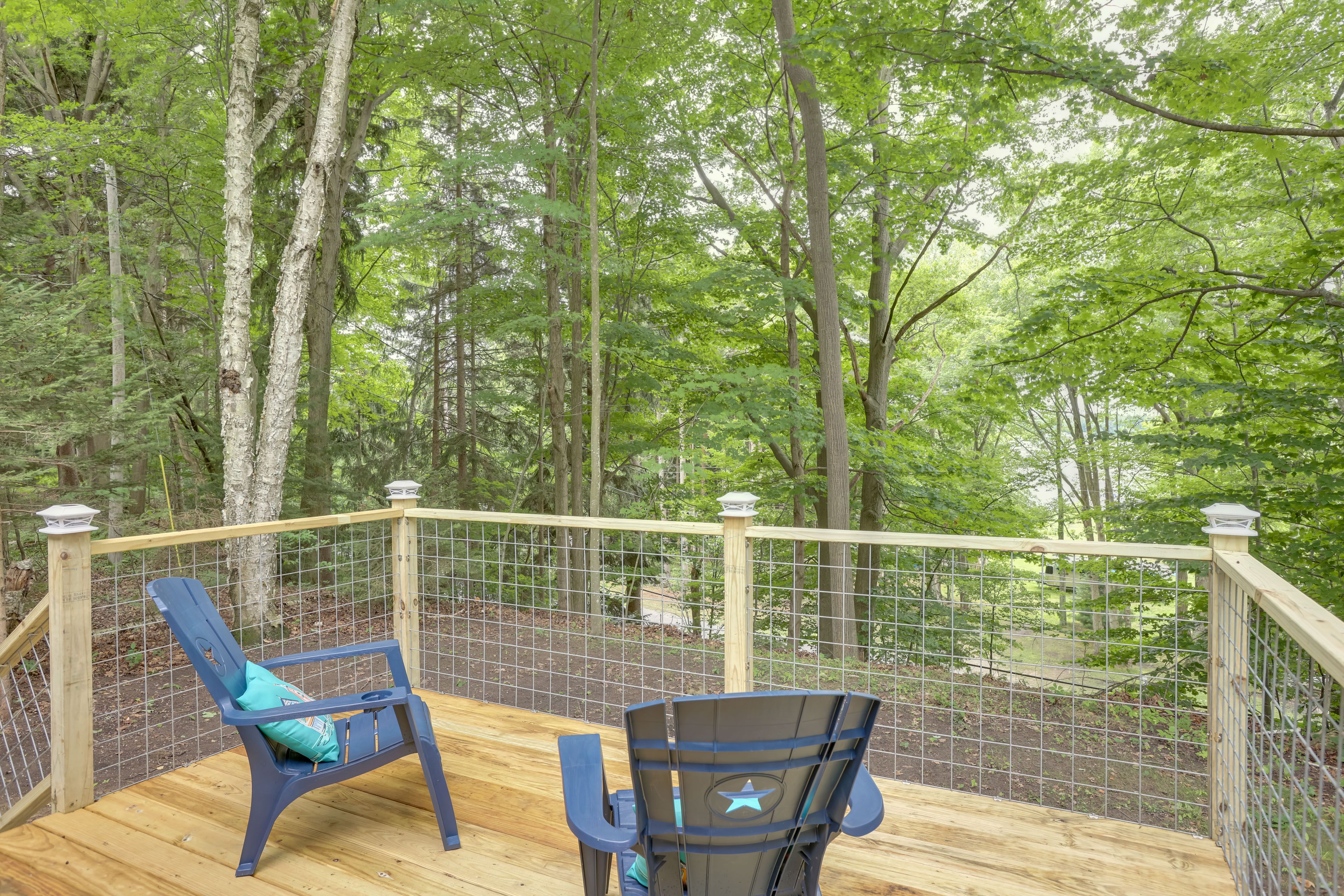 Back Deck