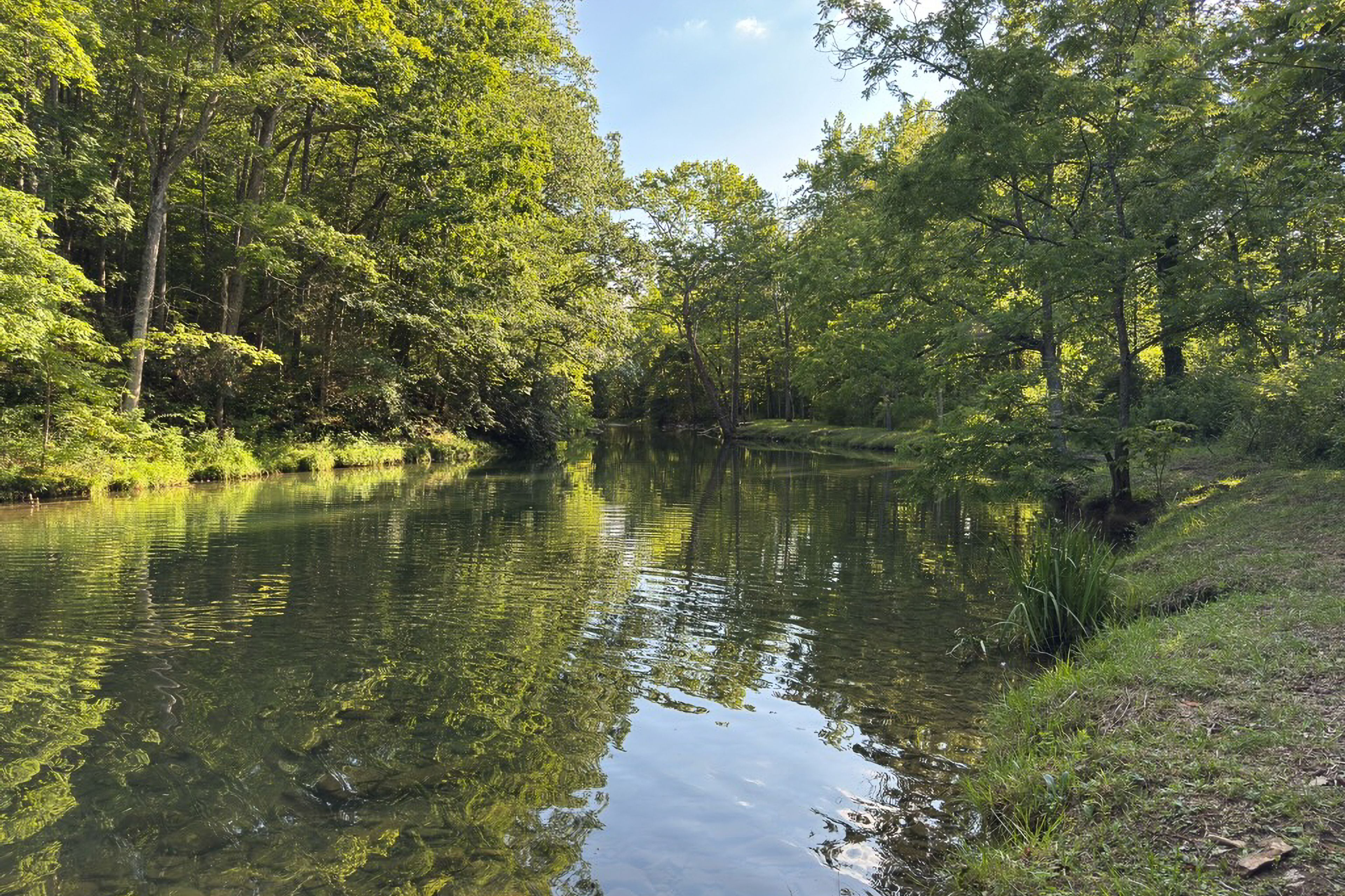 Walk to Dunlop Creek