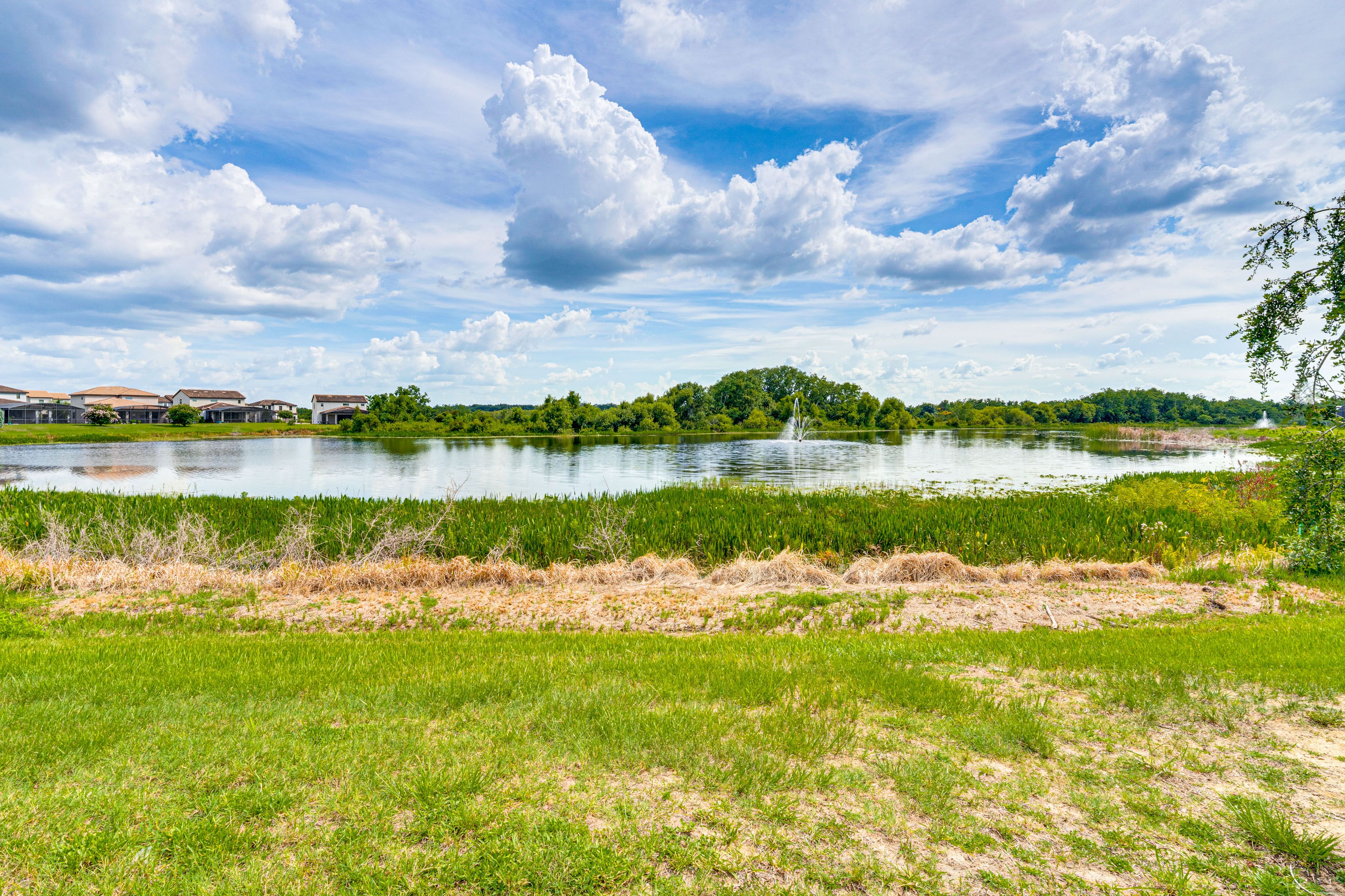 Lake Views