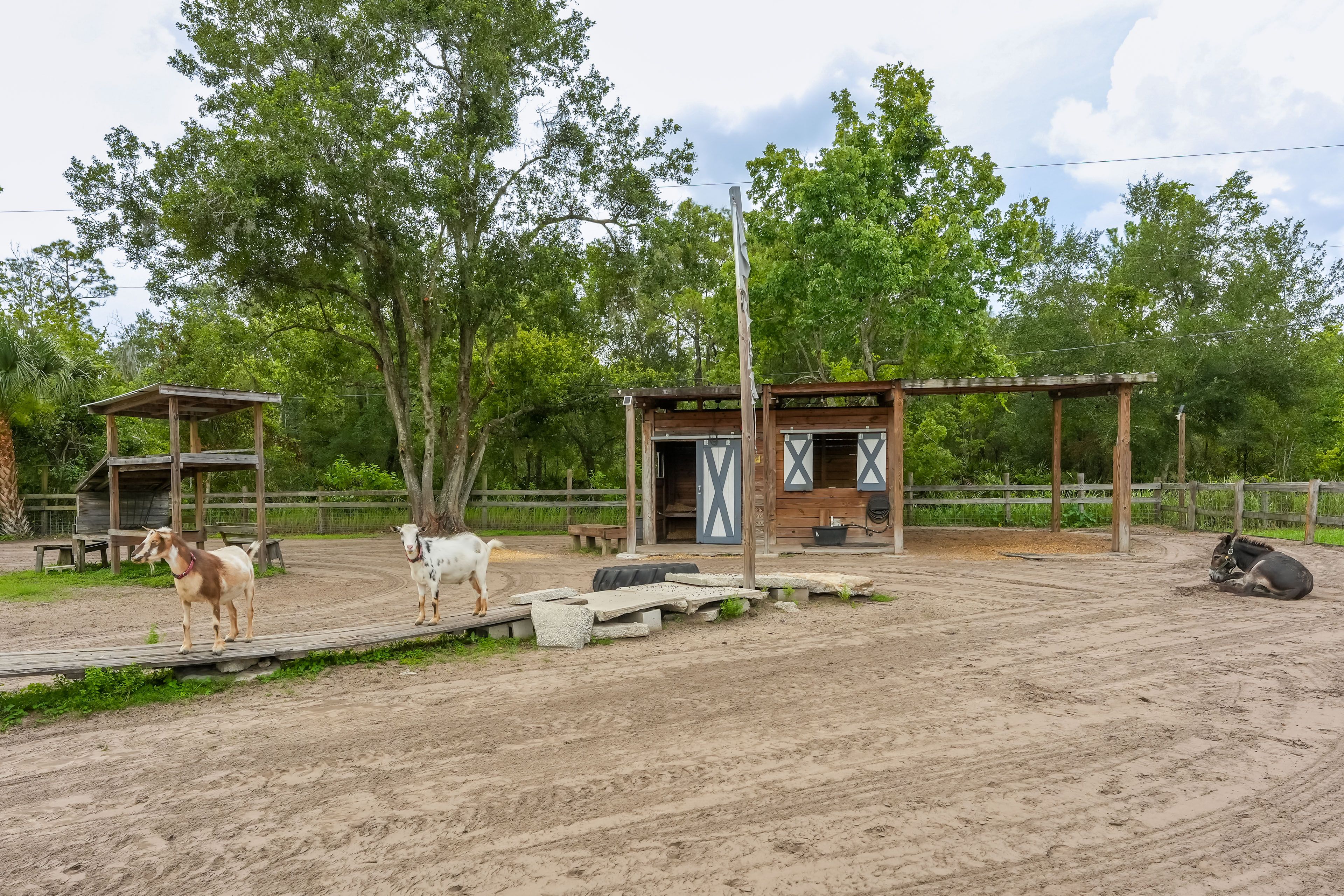 Image 25