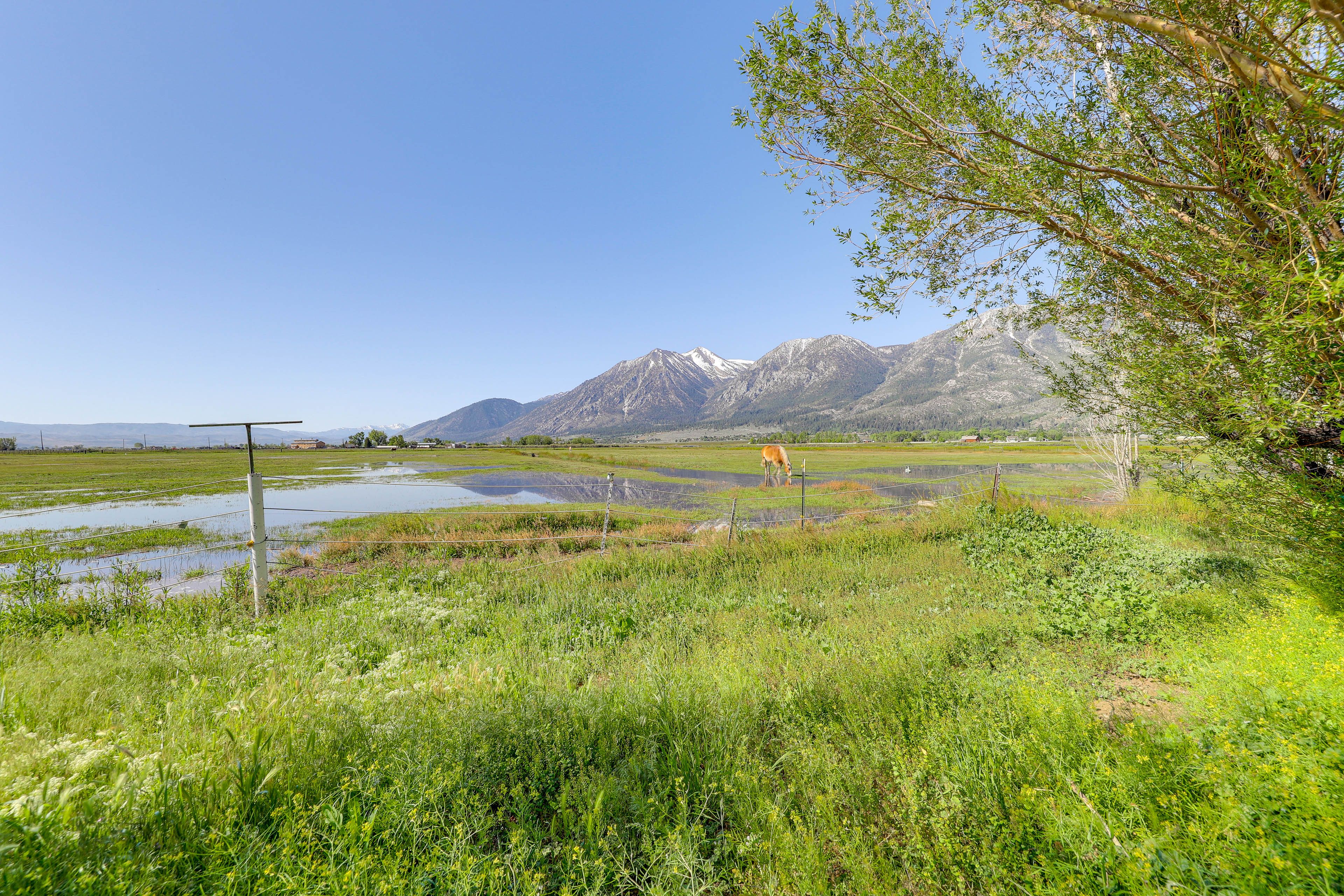 Gardnerville Vacation Rental | 1BR | 1BA | Steps Required | 250 Sq Ft