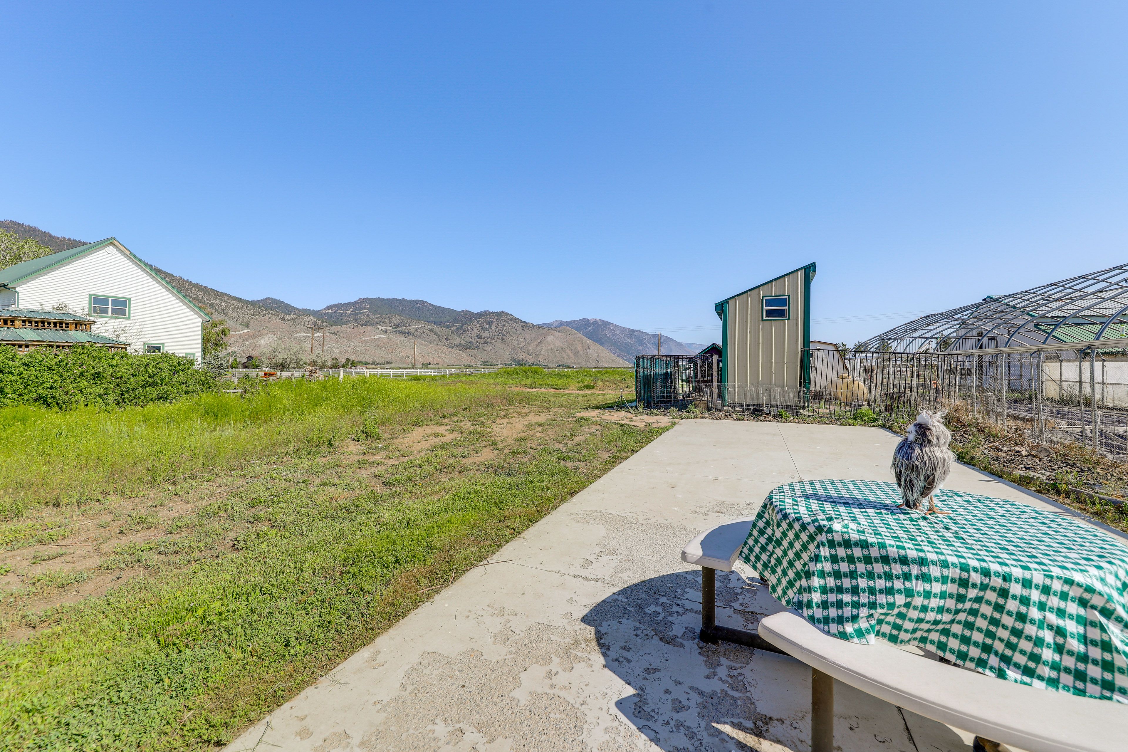 Private Patio | Outdoor Dining | Gas Grill