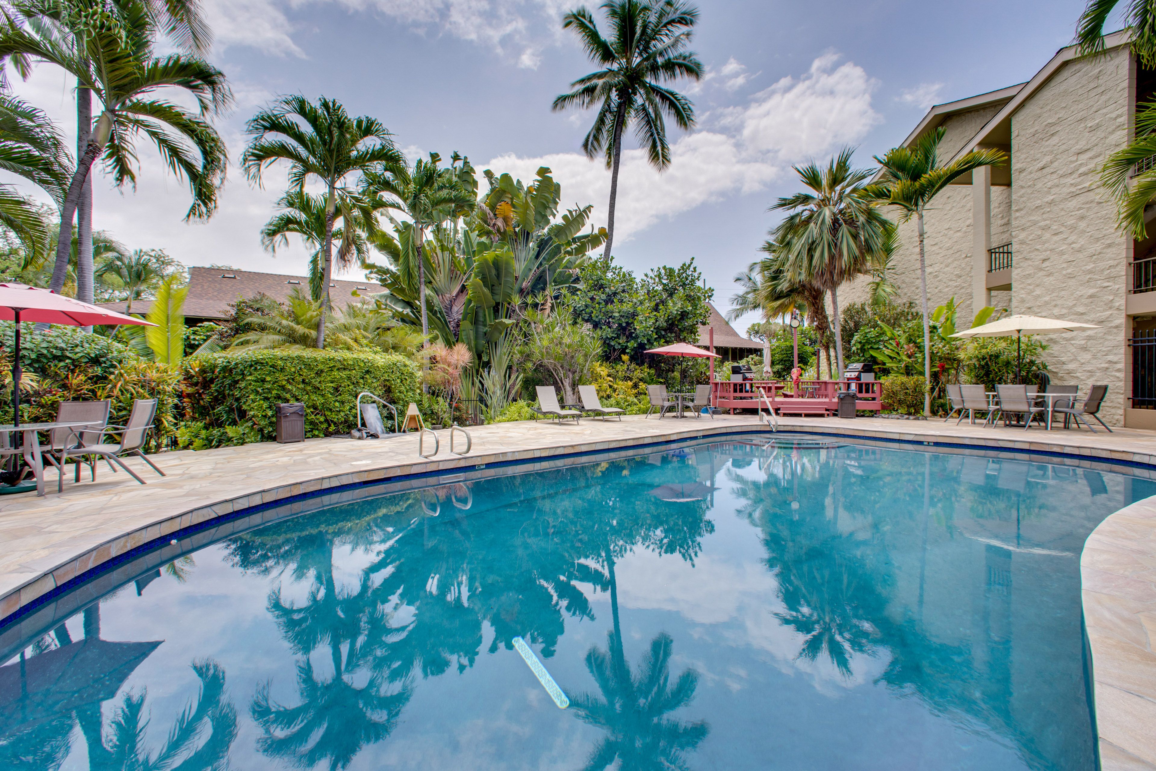 Kailua-Kona Vacation Rental | 1BR | 2BA | 1 Step Required | 700 Sq Ft