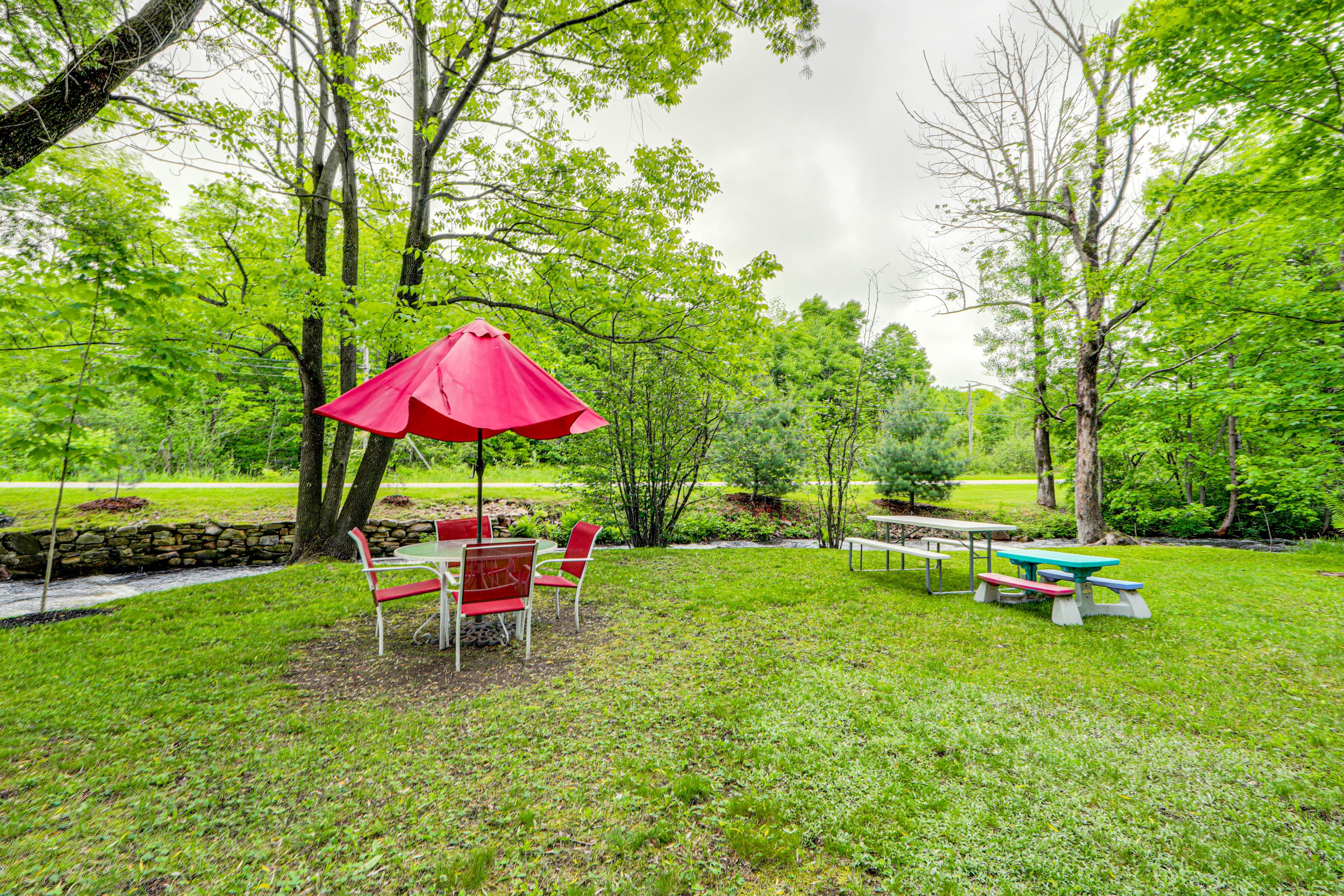 Little Salmon River Access | Trout Fishing | Swimming