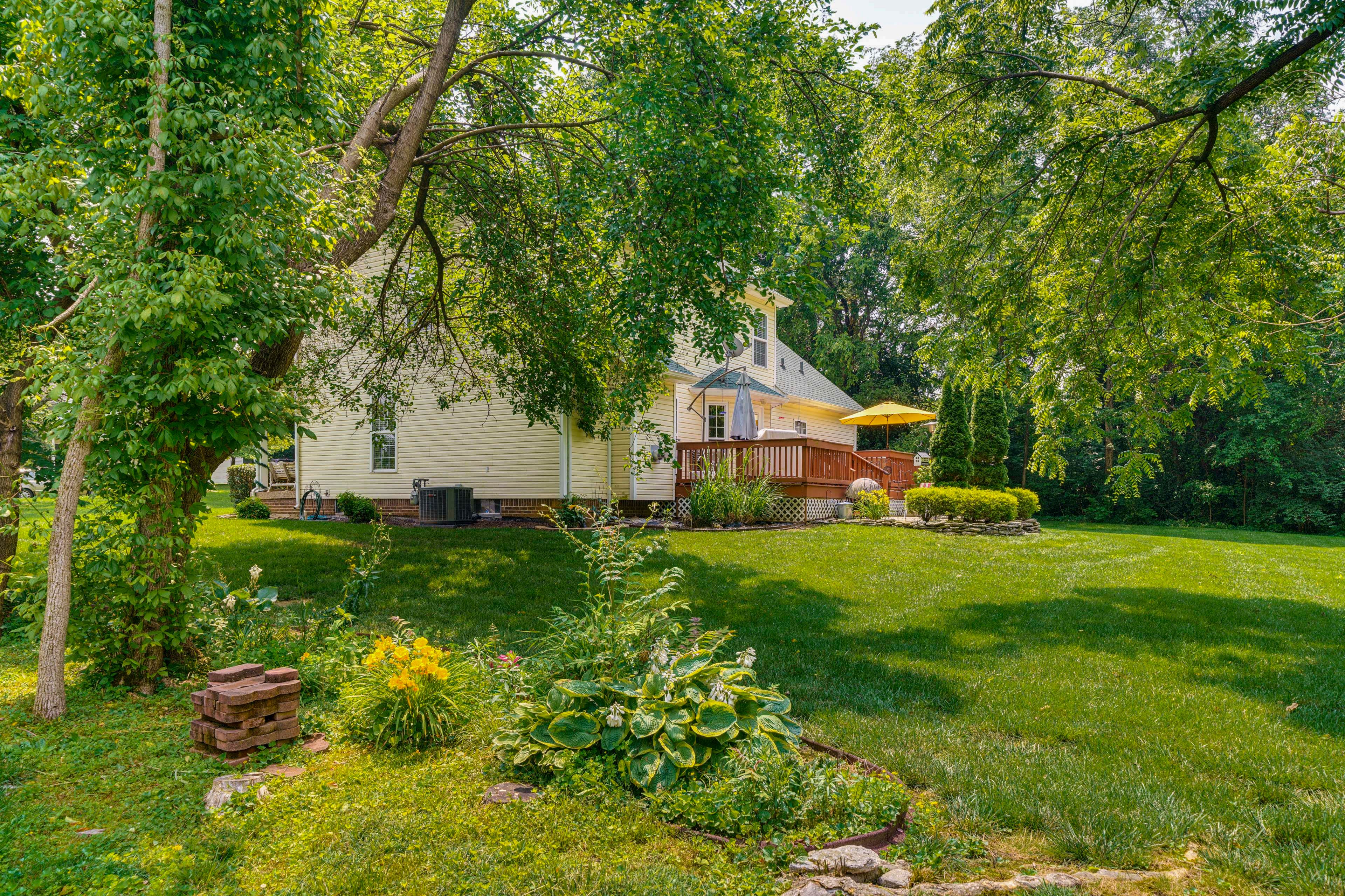 Large Backyard