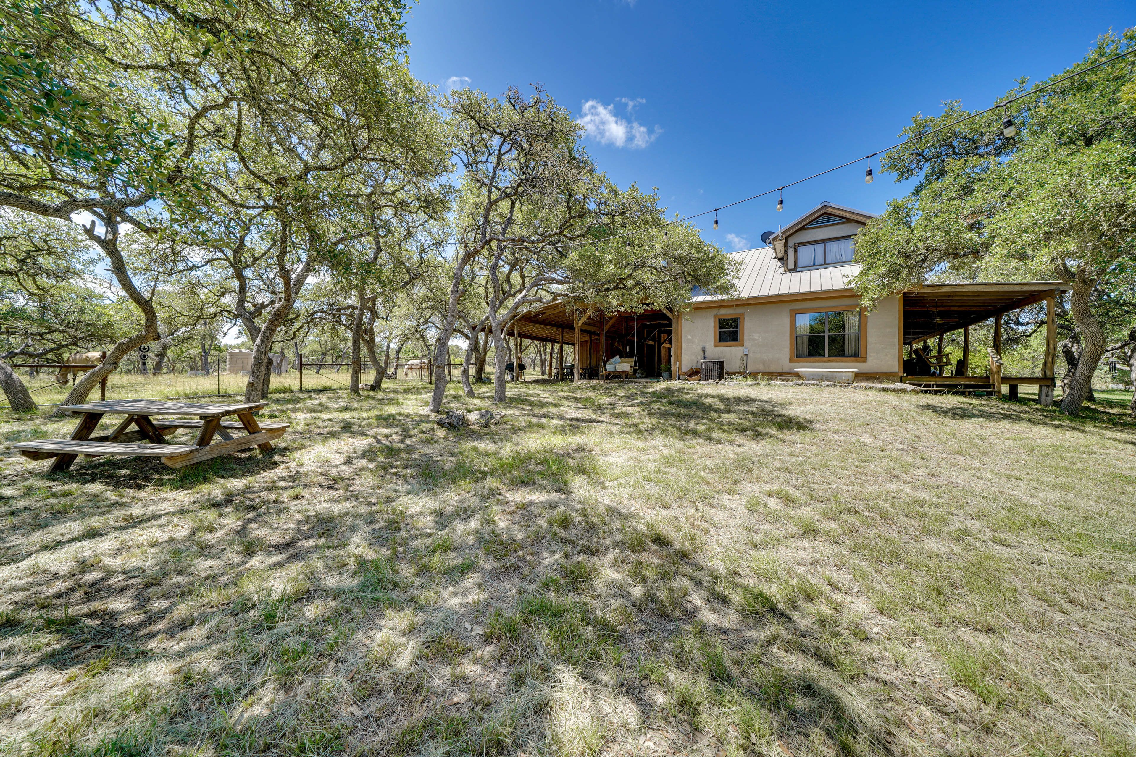 Large Open Yard | Picnic Table | Tree Swing