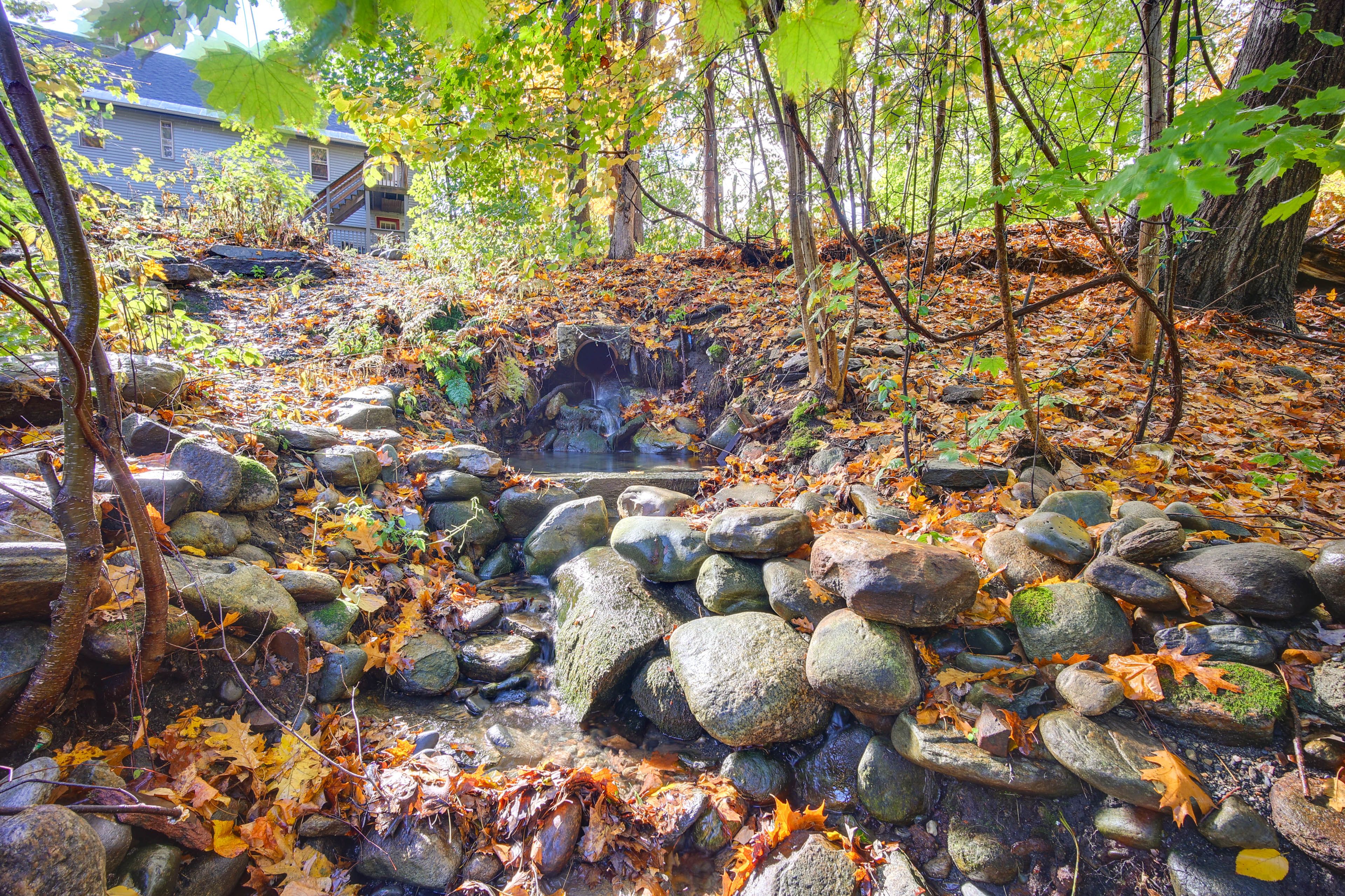 Parking | Driveway (3 Vehicles)