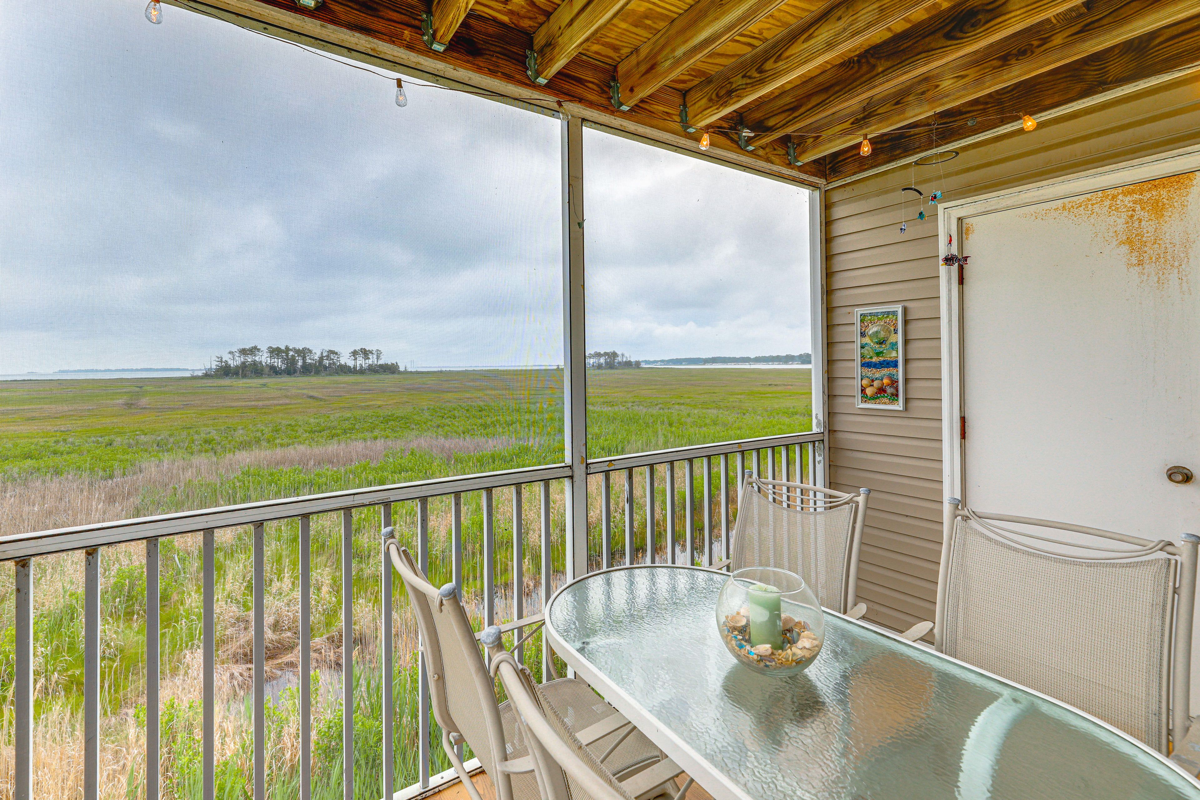 Screened-In Balcony | Marsh Views