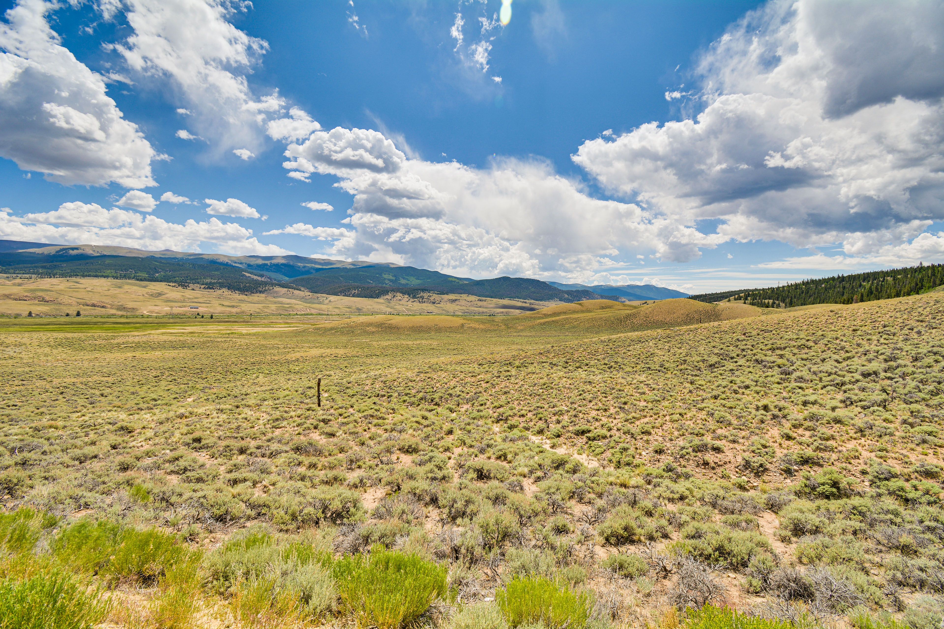 Surrounding Area | National Forest Access On-Site