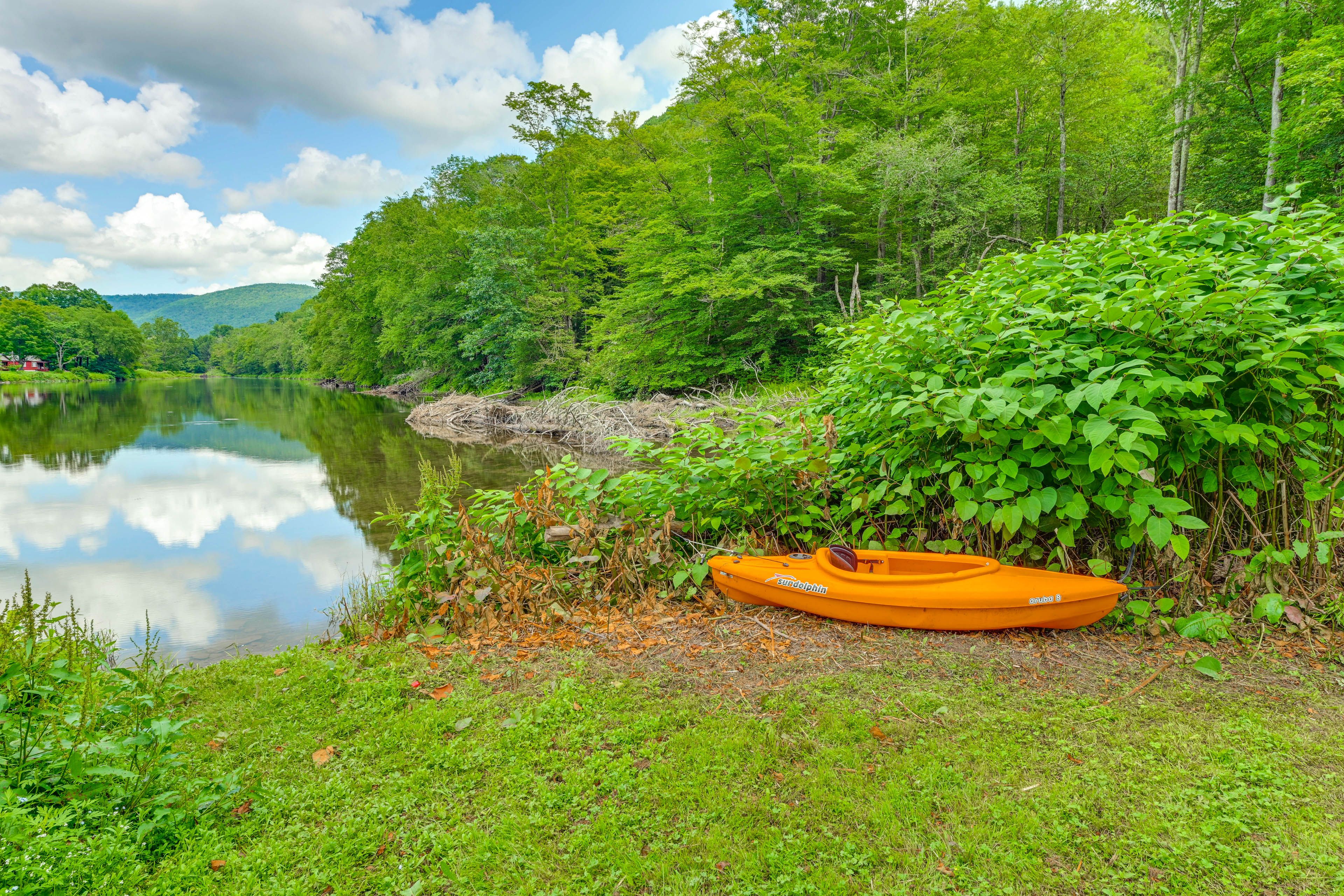 East Branch Delaware River Access (On-Site) | Kayak | Mountain Views