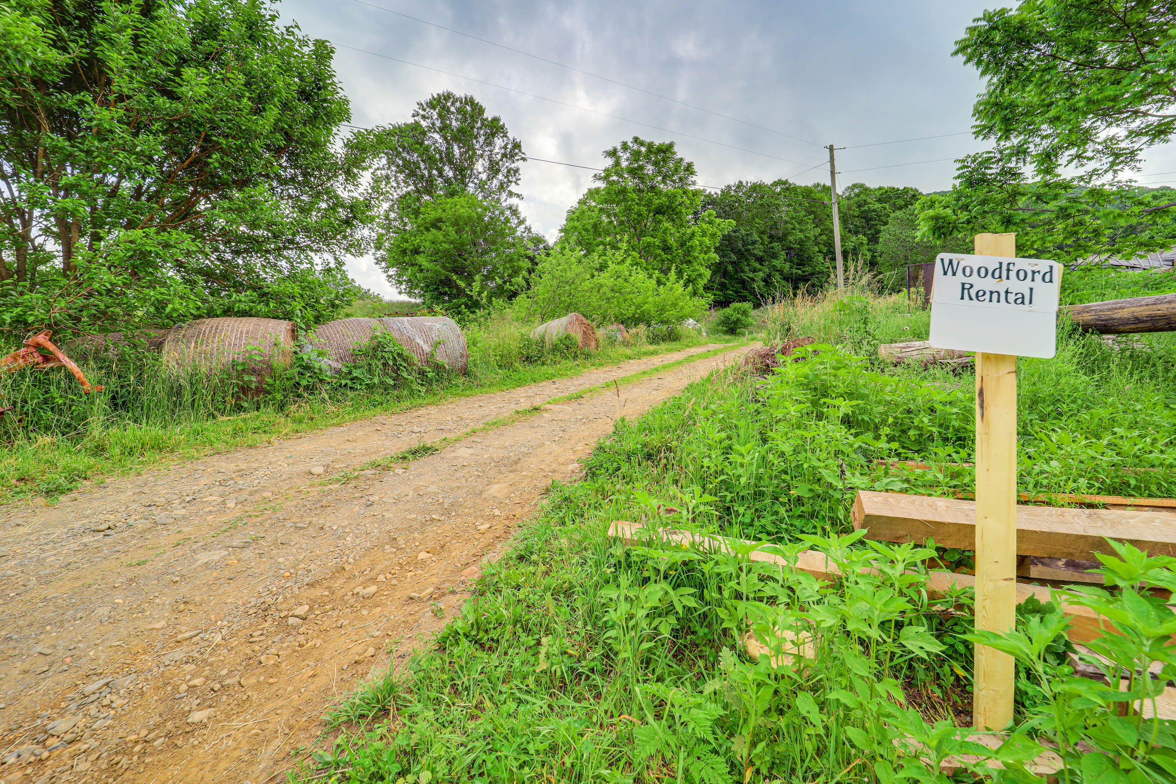 Image 25