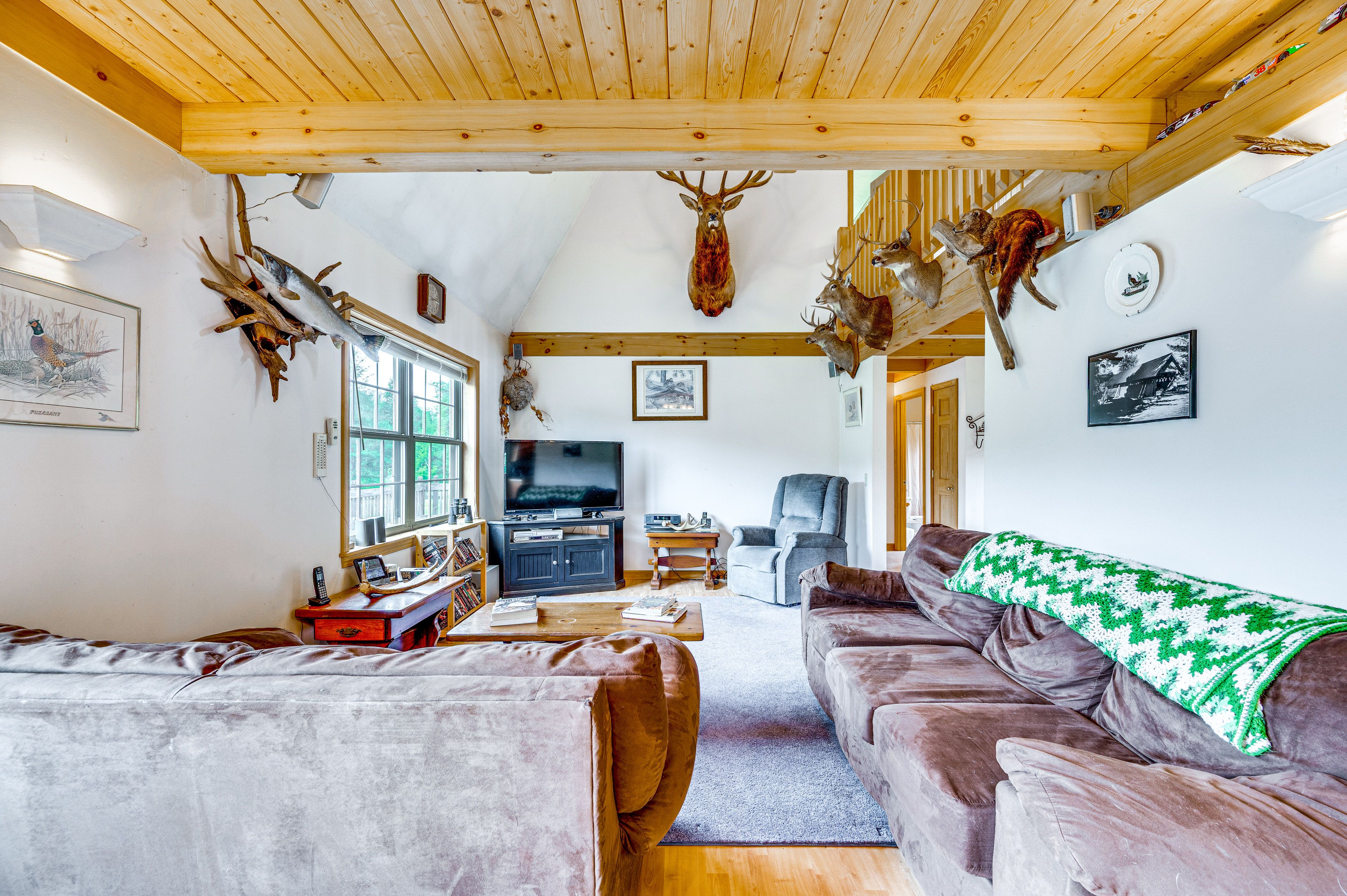 Living Area | 1st Floor