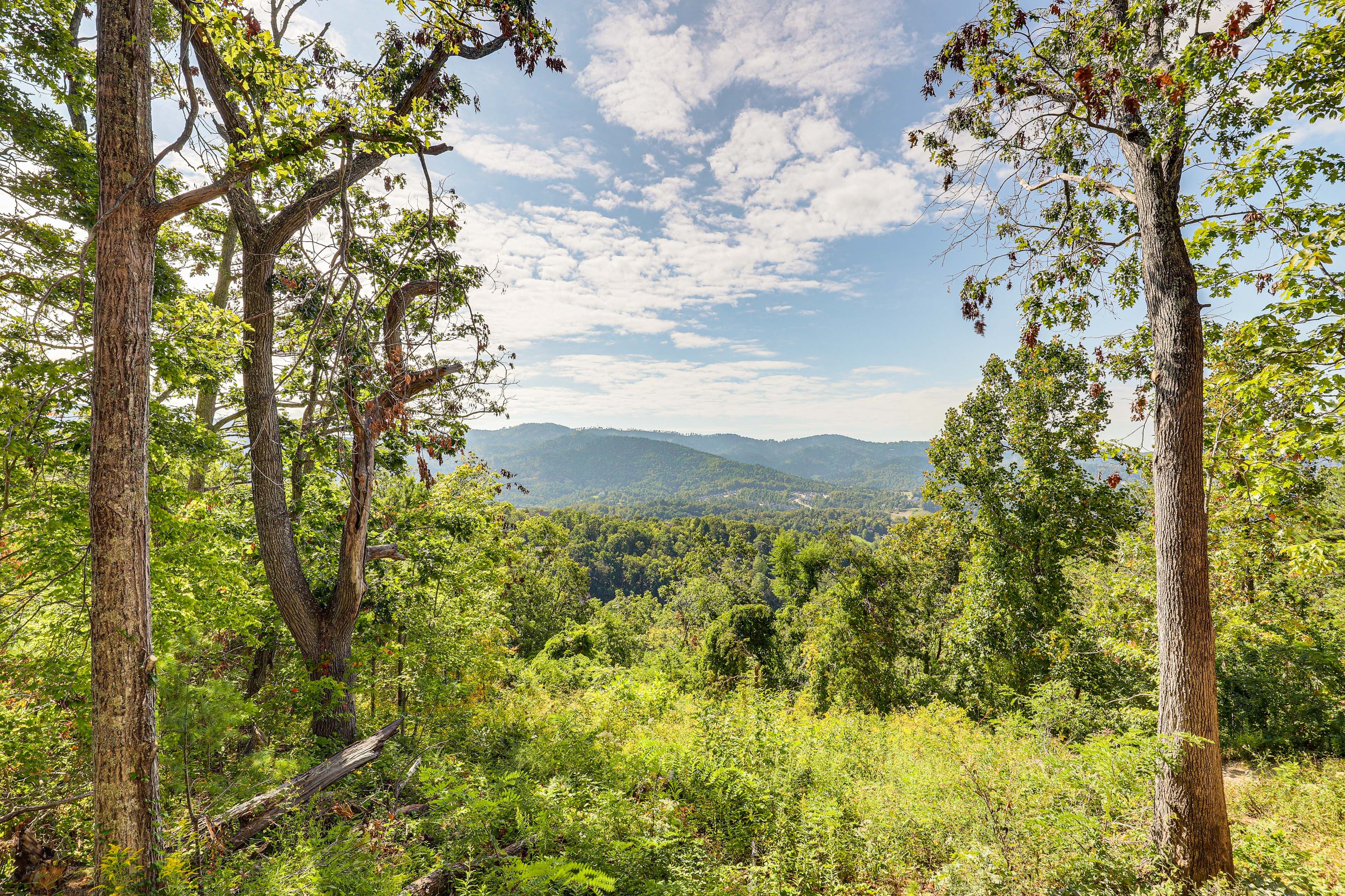Mountain Views