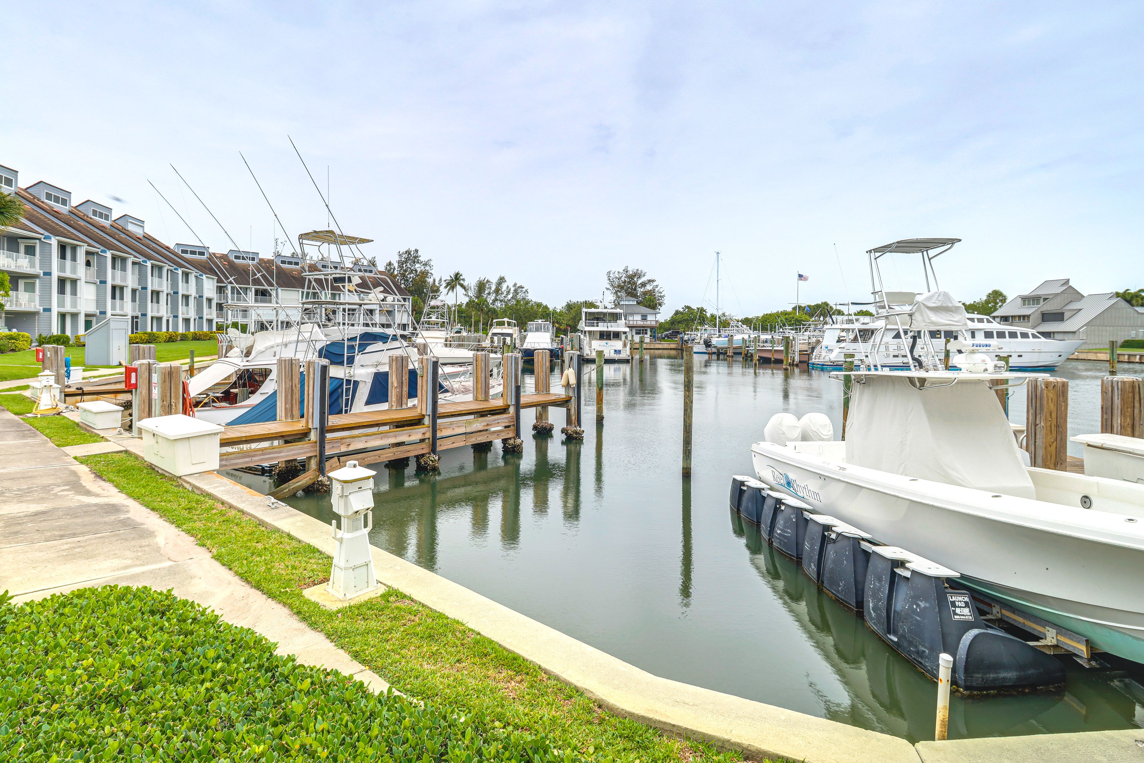 Harbor Views