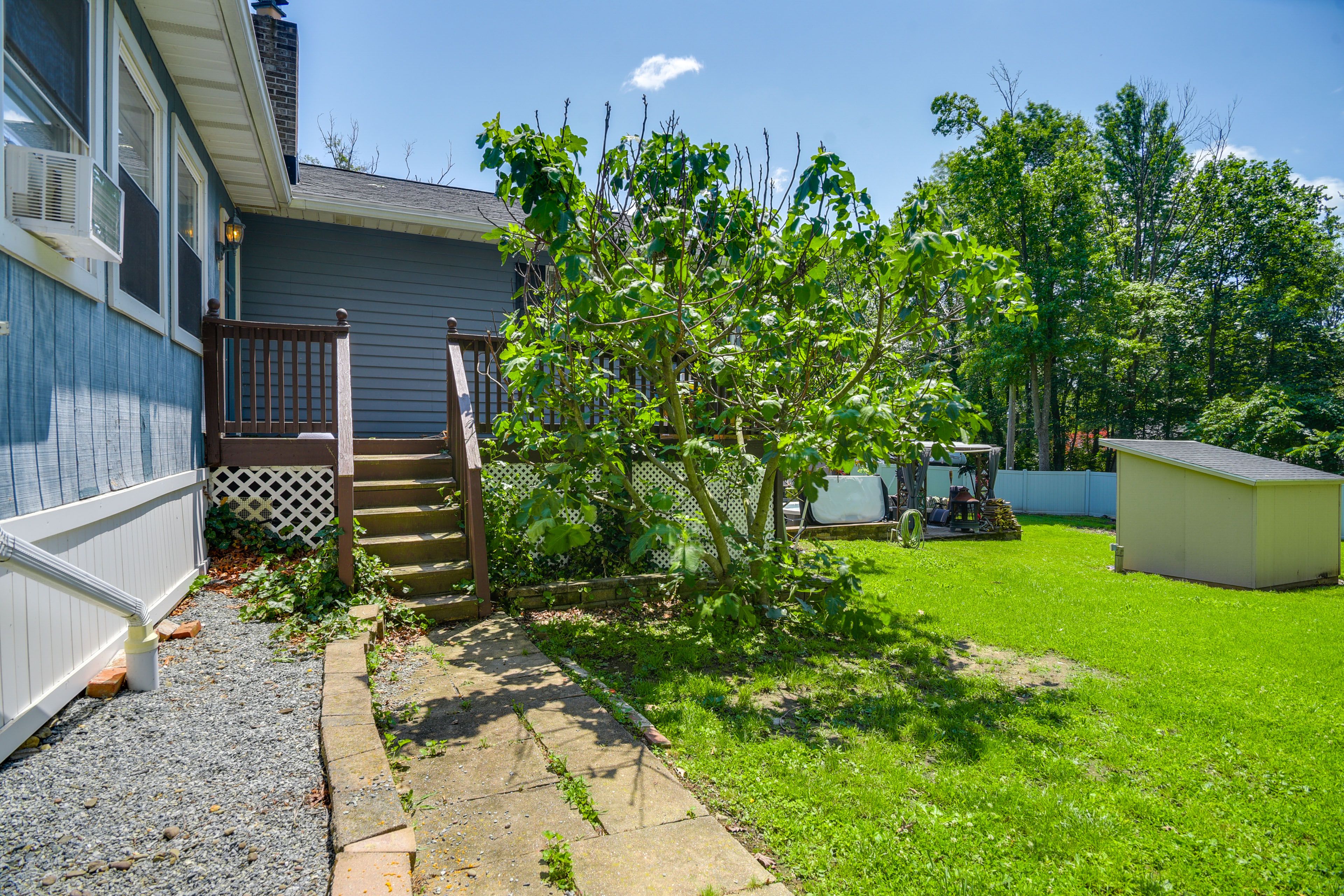 Fenced-In Backyard