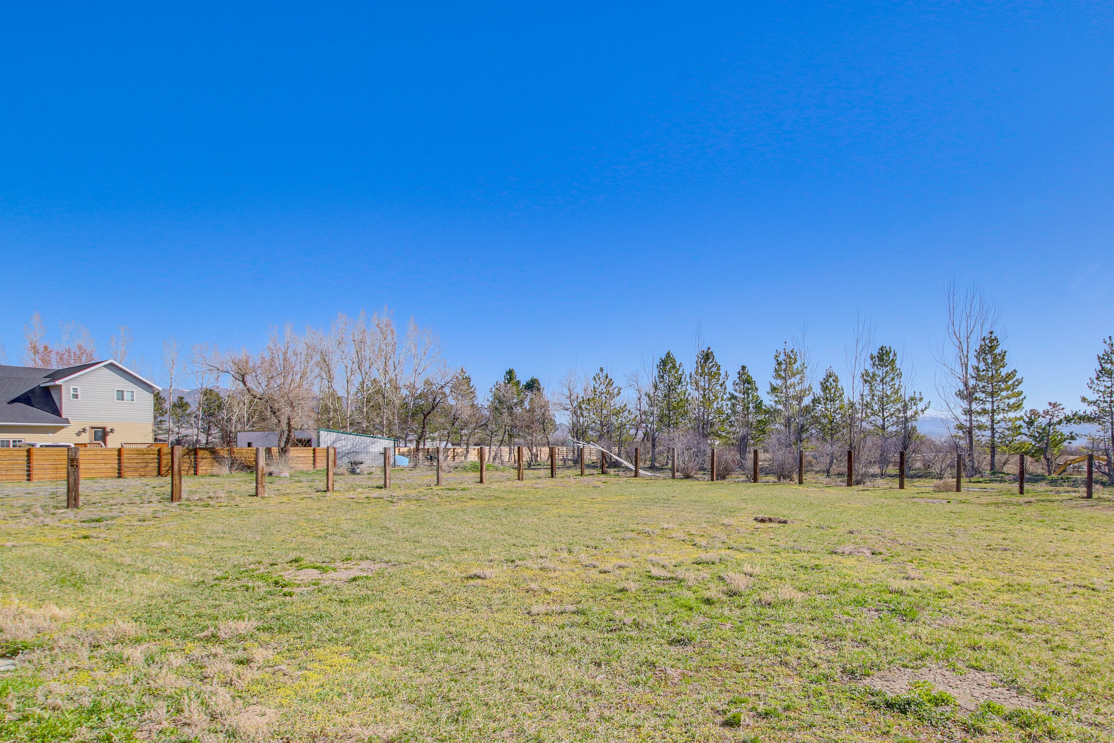 Fenced Backyard