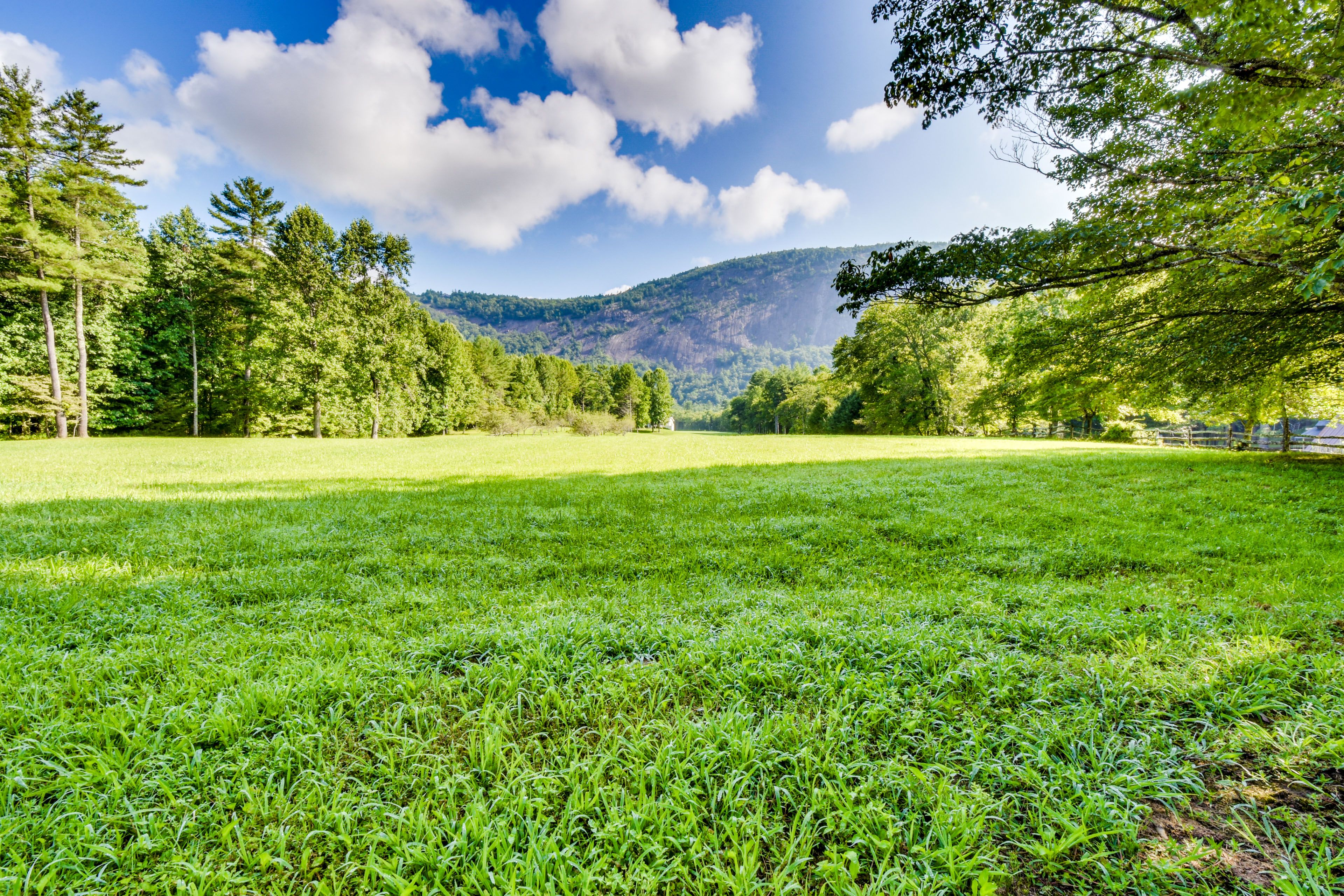 Spacious Yard | Mountain View