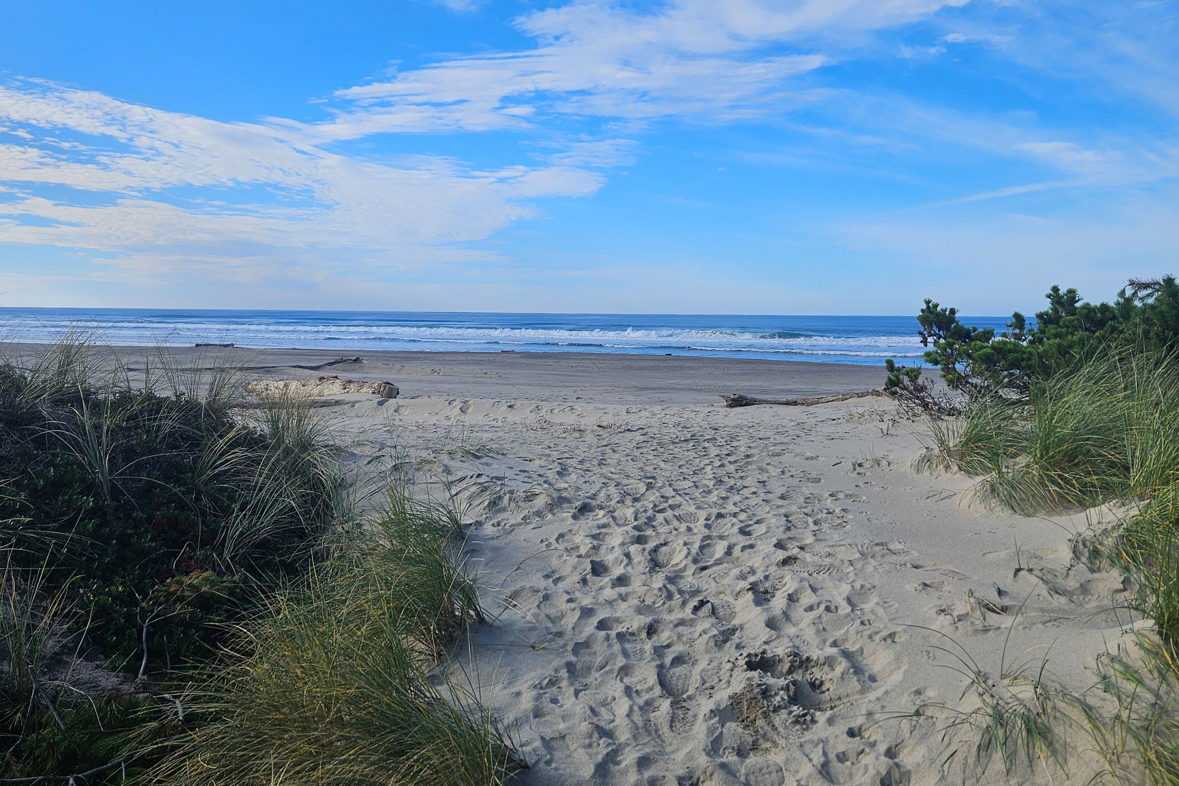 Neskowin Beach (1/8 Mile Away)