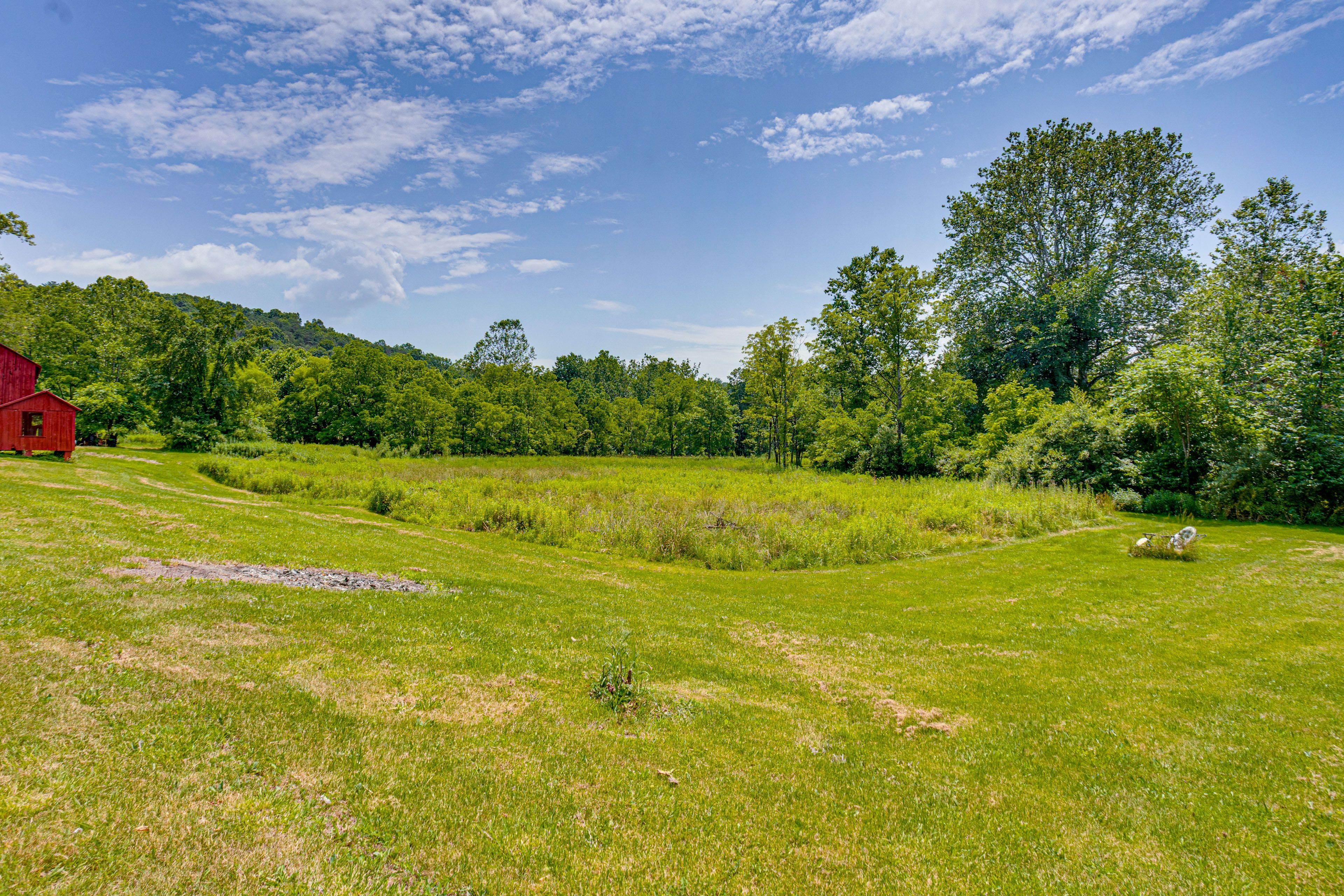 Large Yard | Bee Farm Location