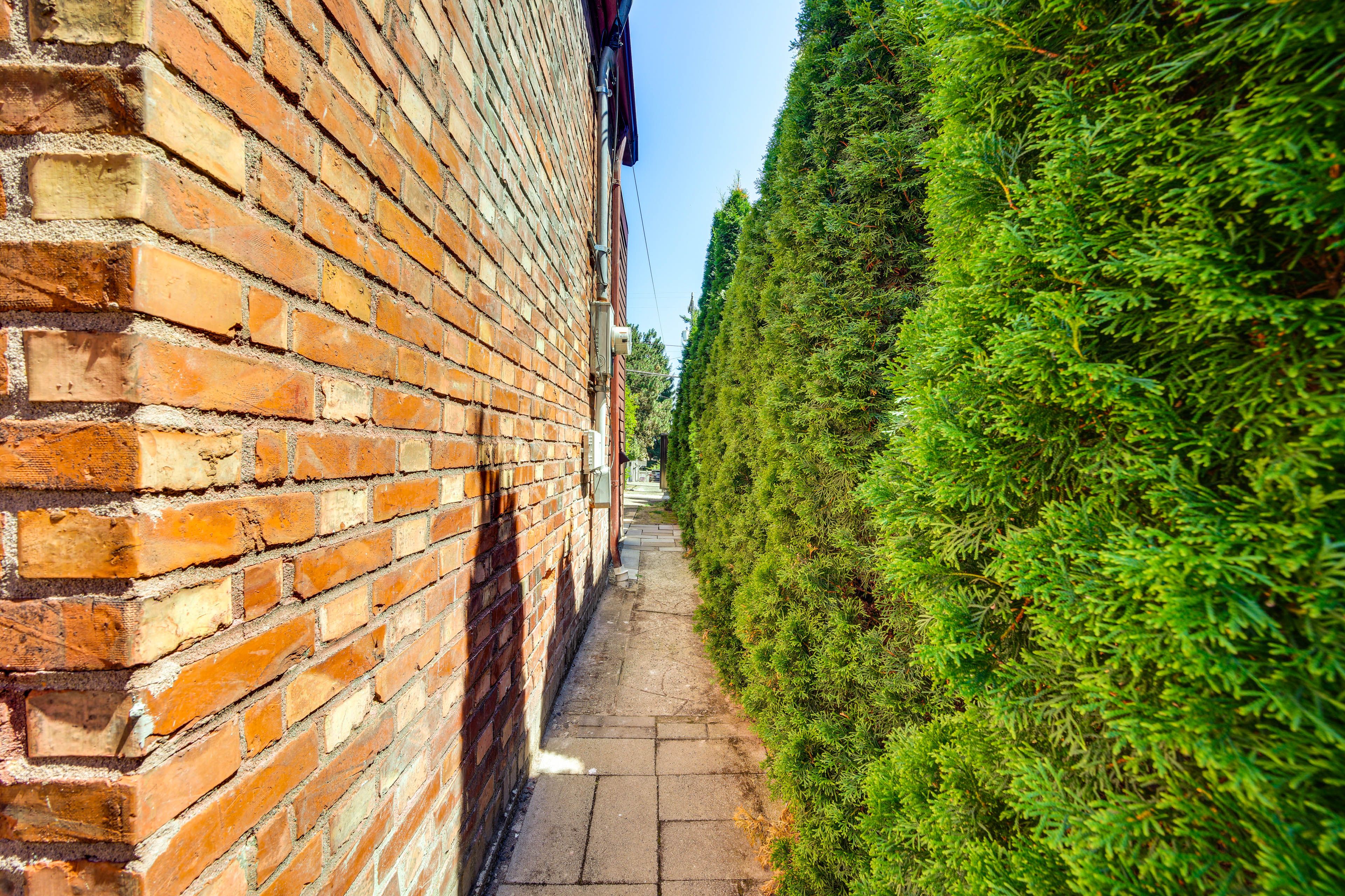 Image 27
