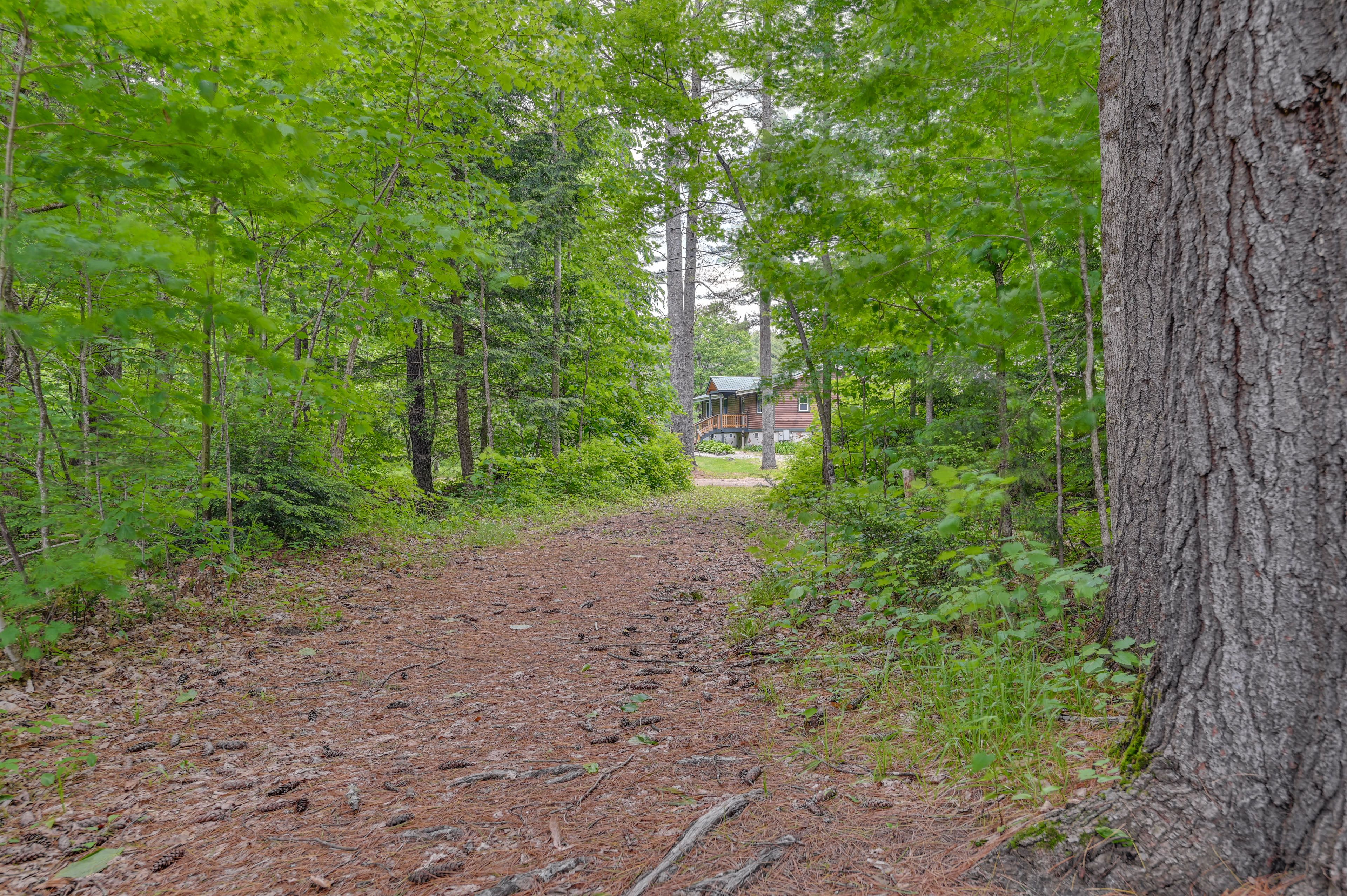 Image 30